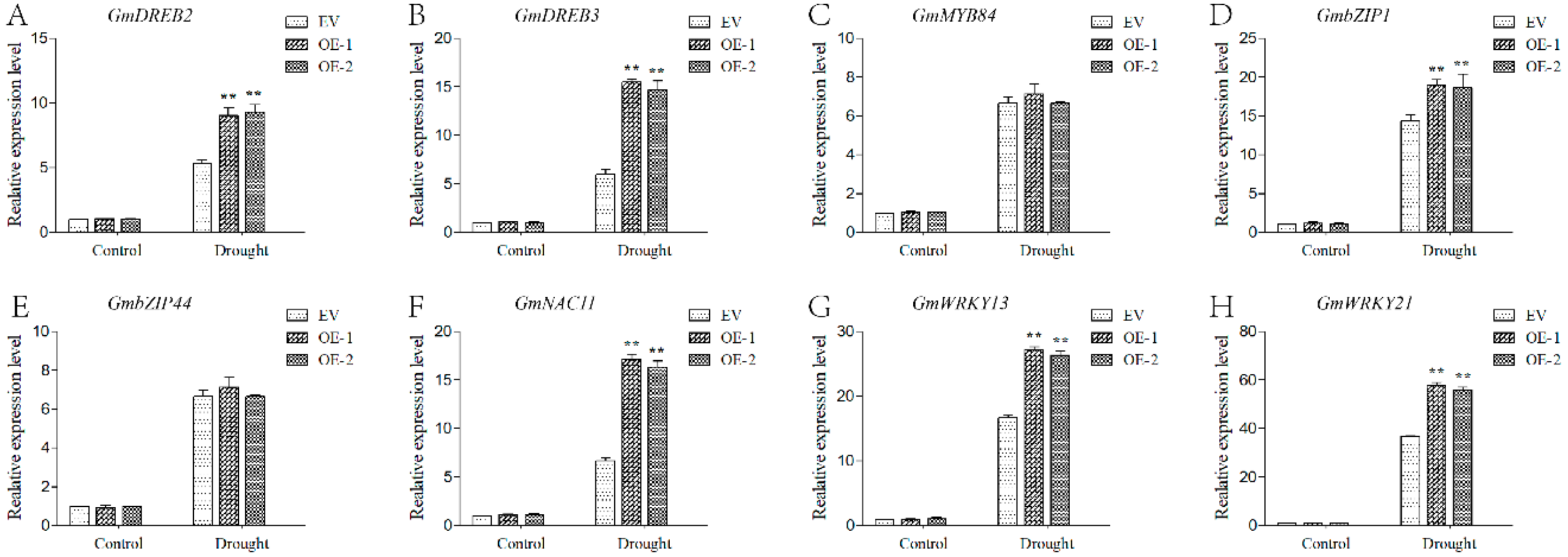 Ijms 20 05667 g013 Ijms 20 05667 g013