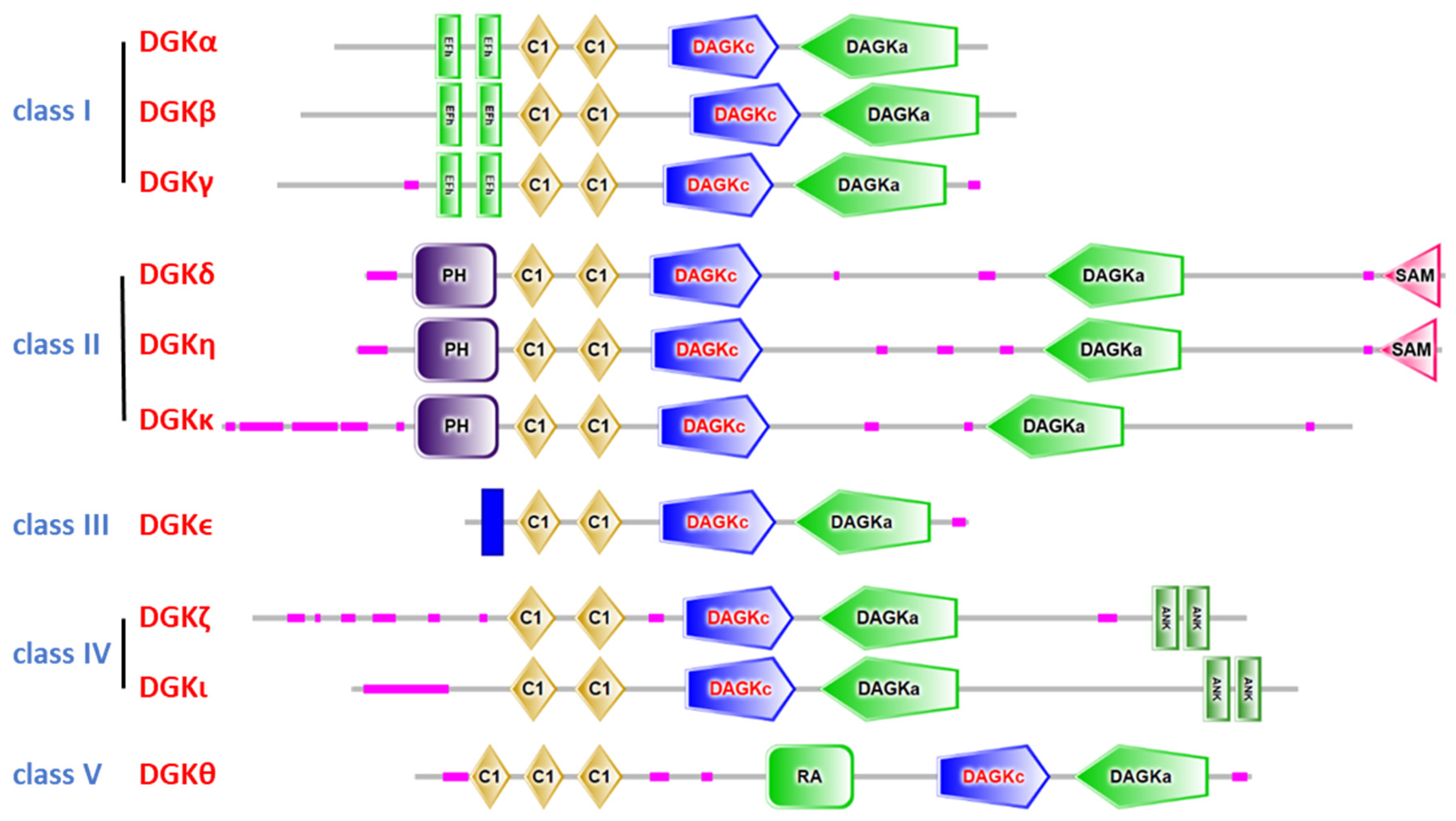 Ijms 20 05673 g001 Ijms 20 05673 g001