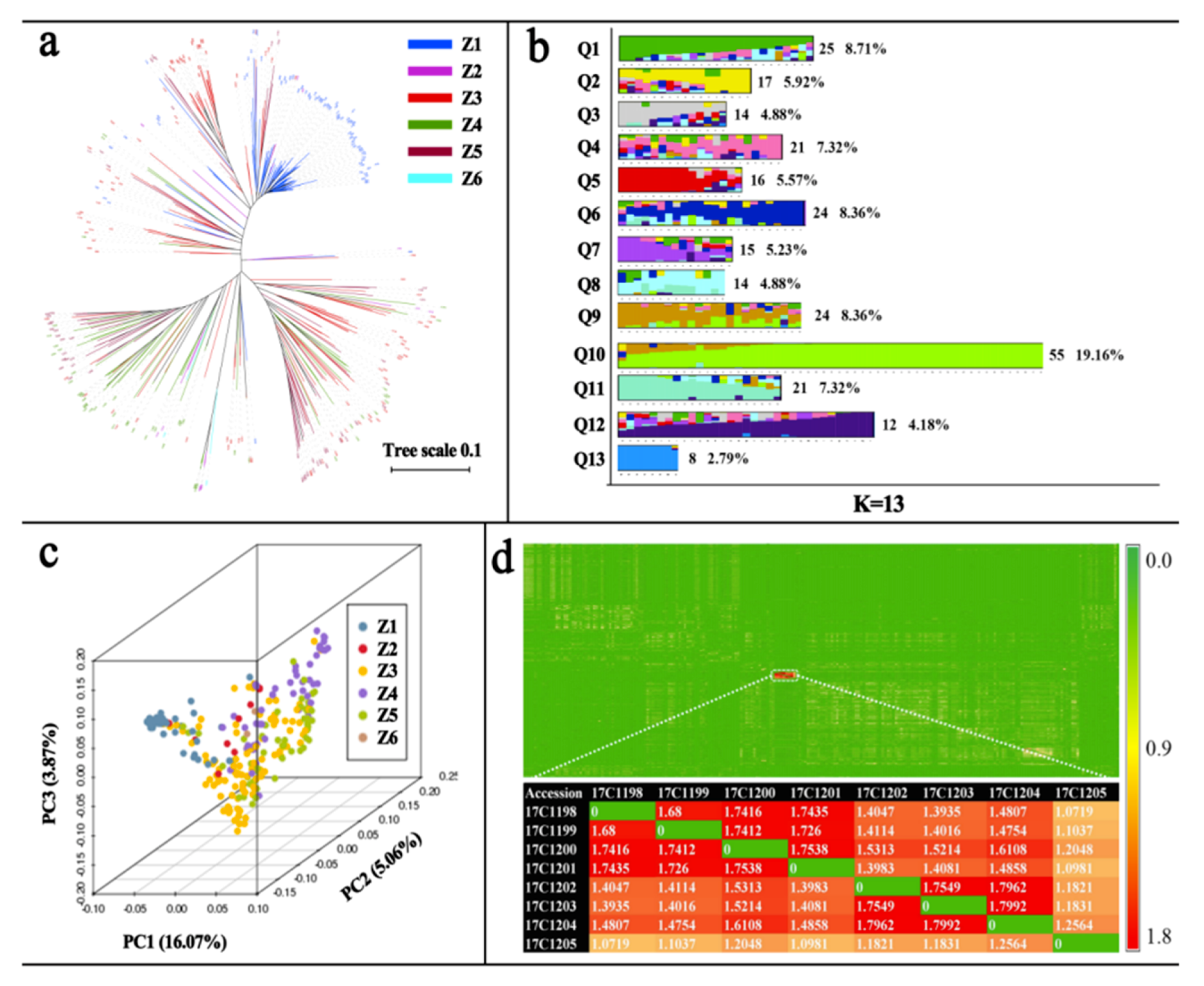 Ijms 20 05675 g002 Ijms 20 05675 g002