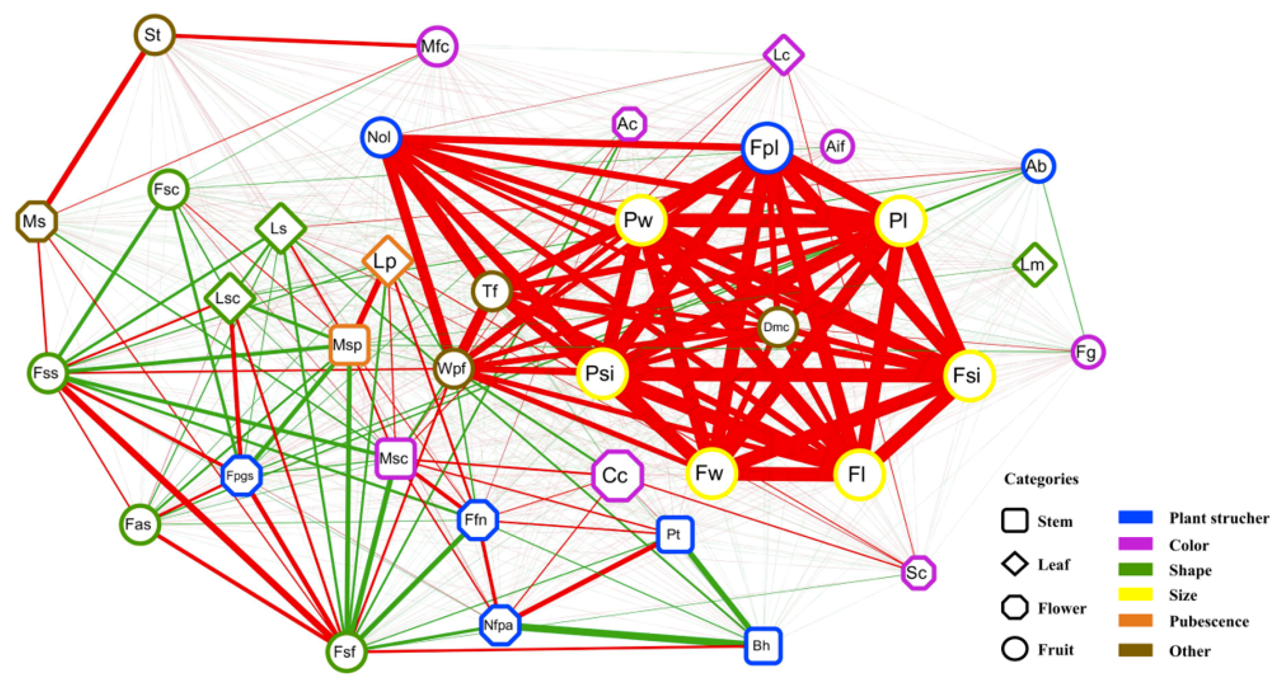 Ijms 20 05675 g004 Ijms 20 05675 g004