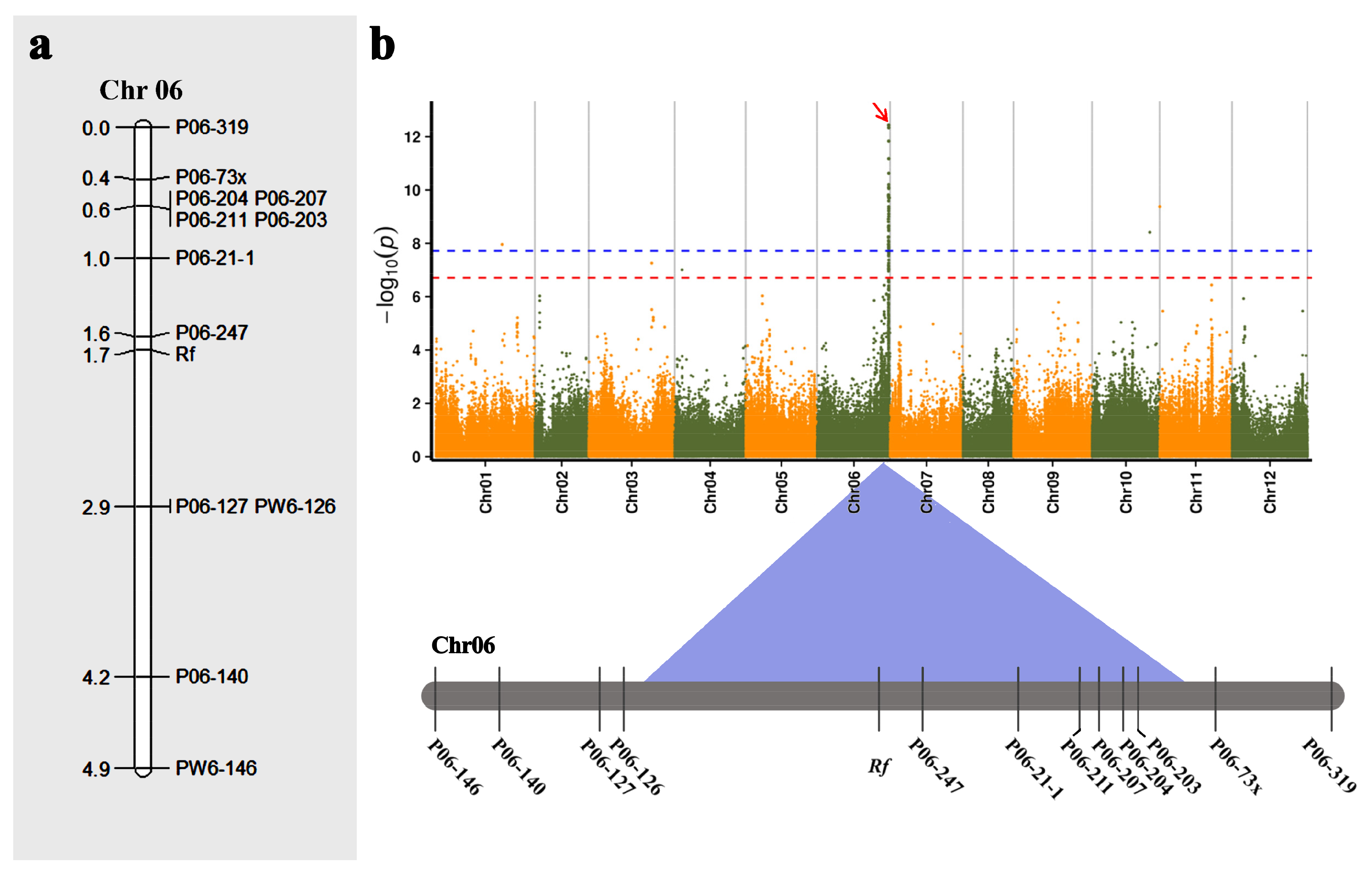 Ijms 20 05675 g006 Ijms 20 05675 g006