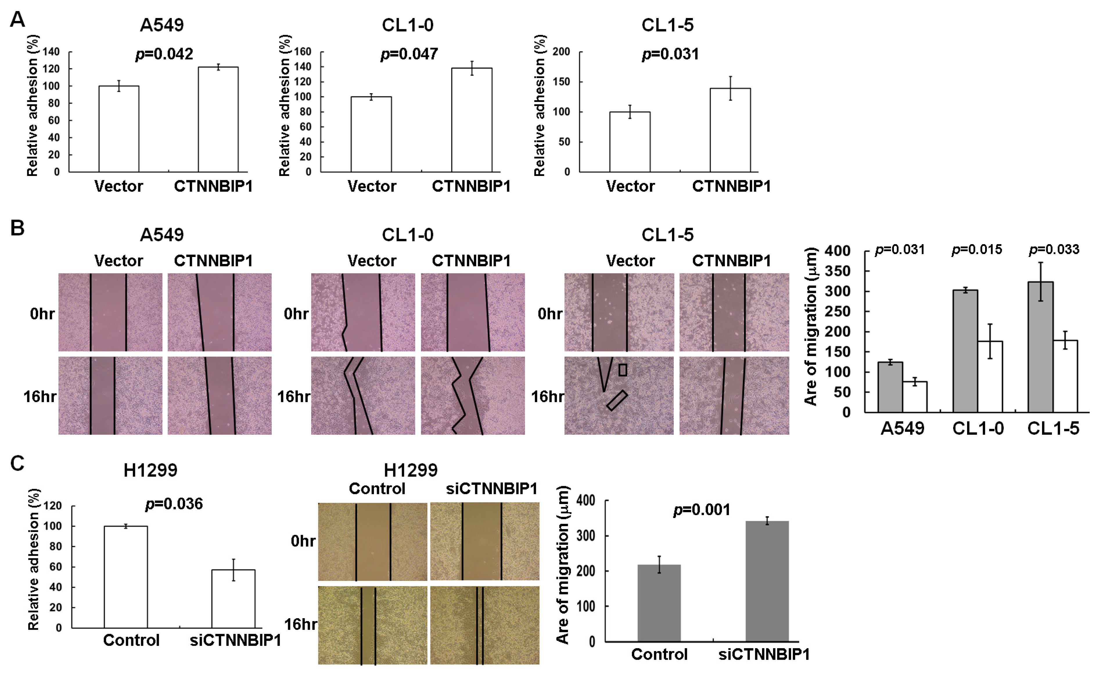 Ijms 20 05684 g004 Ijms 20 05684 g004