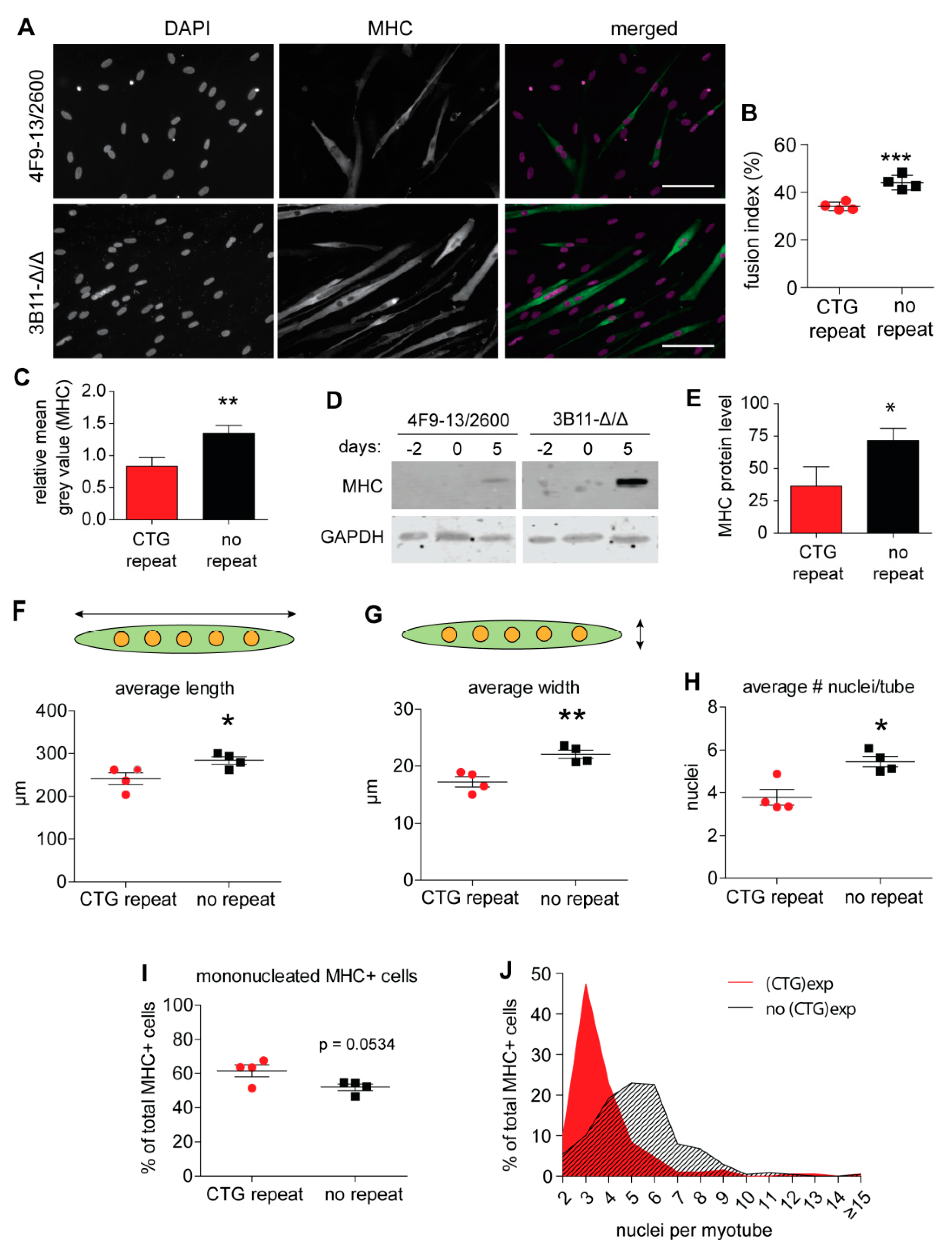 Ijms 20 05685 g001 Ijms 20 05685 g001