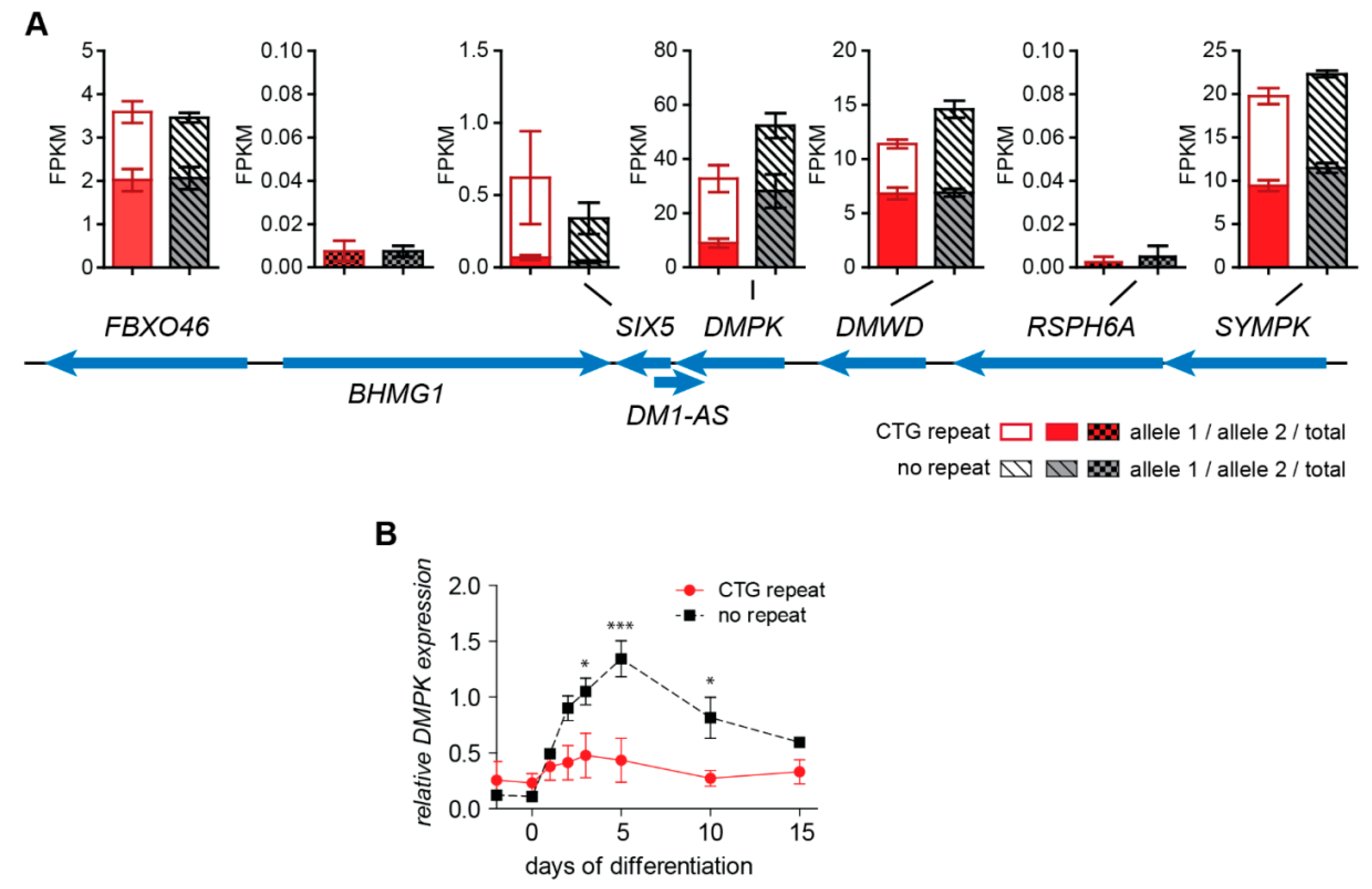 Ijms 20 05685 g002 Ijms 20 05685 g002