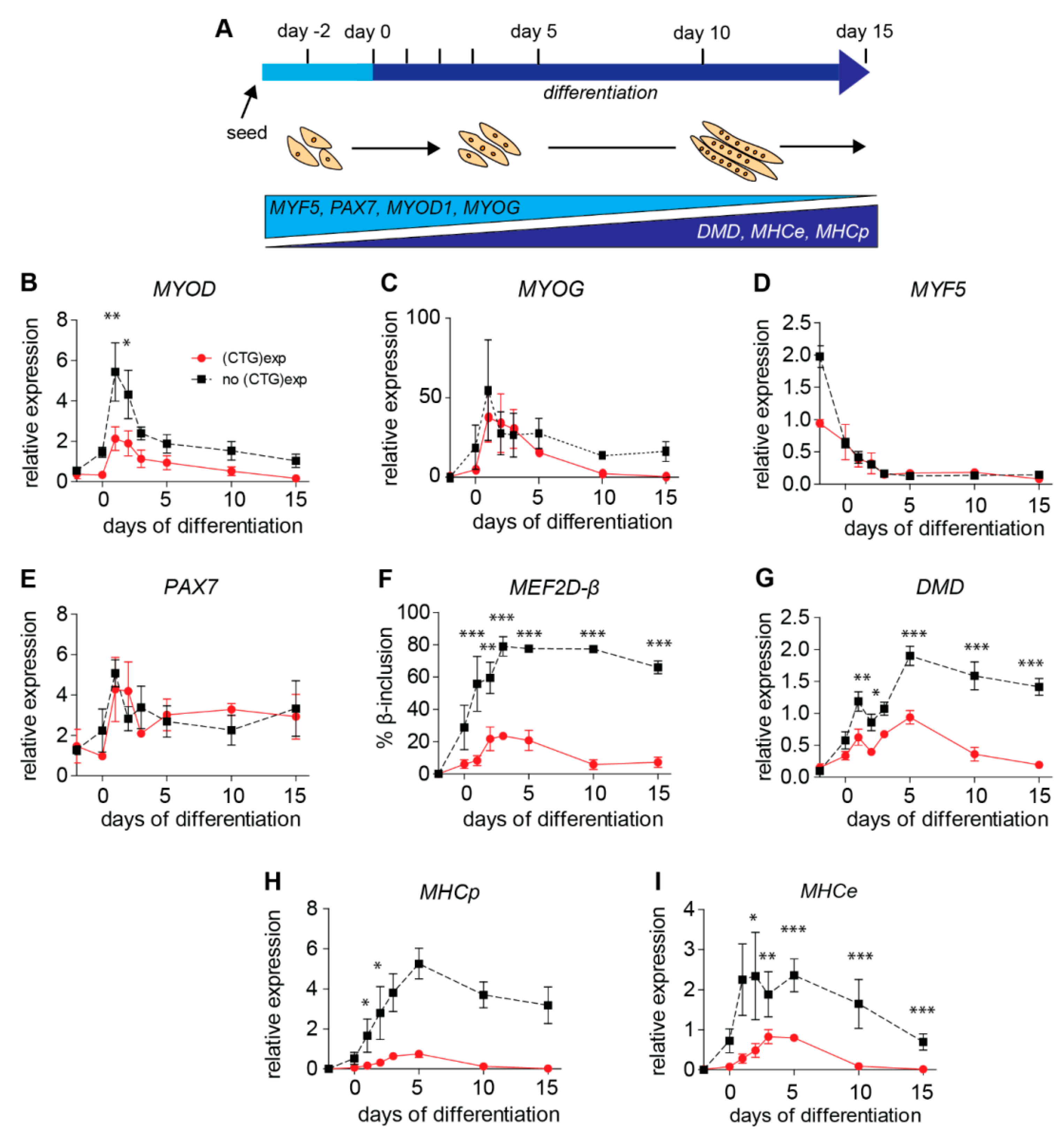 Ijms 20 05685 g003 Ijms 20 05685 g003