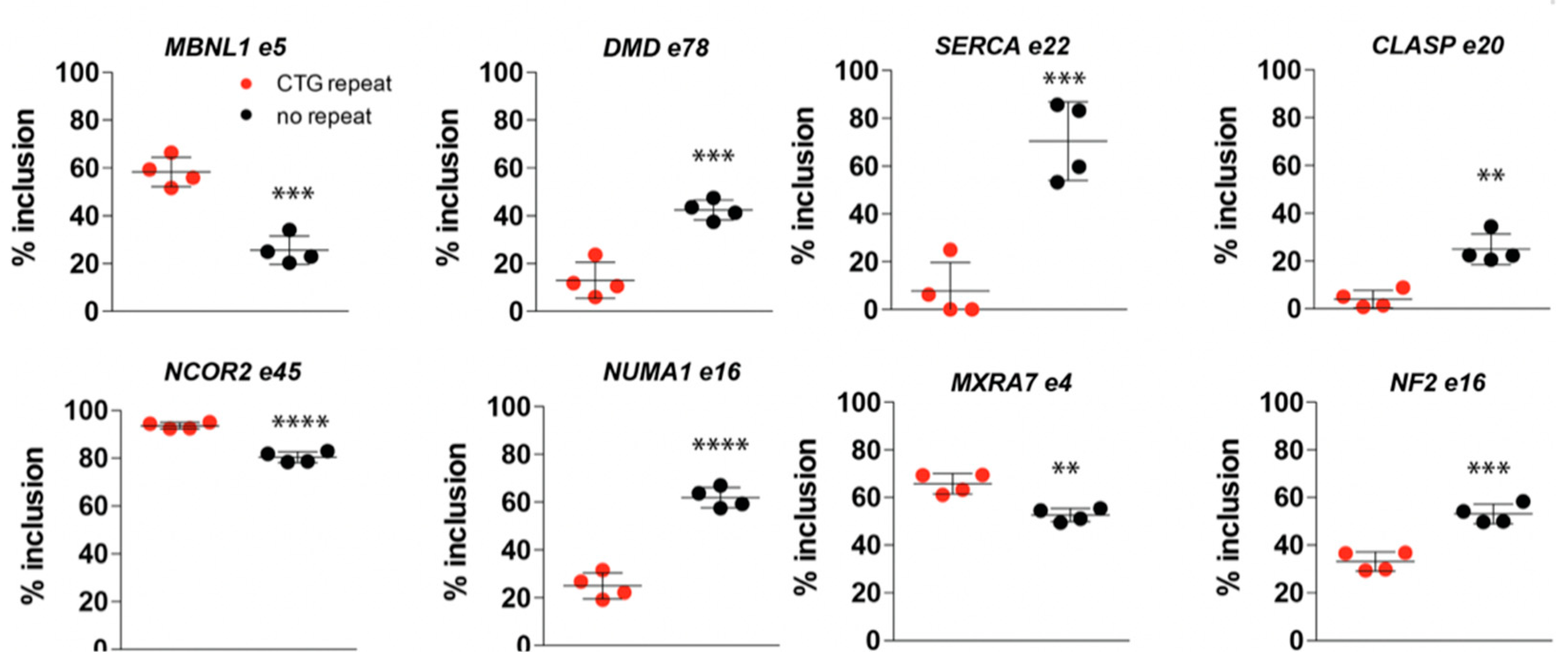 Ijms 20 05685 g004 Ijms 20 05685 g004