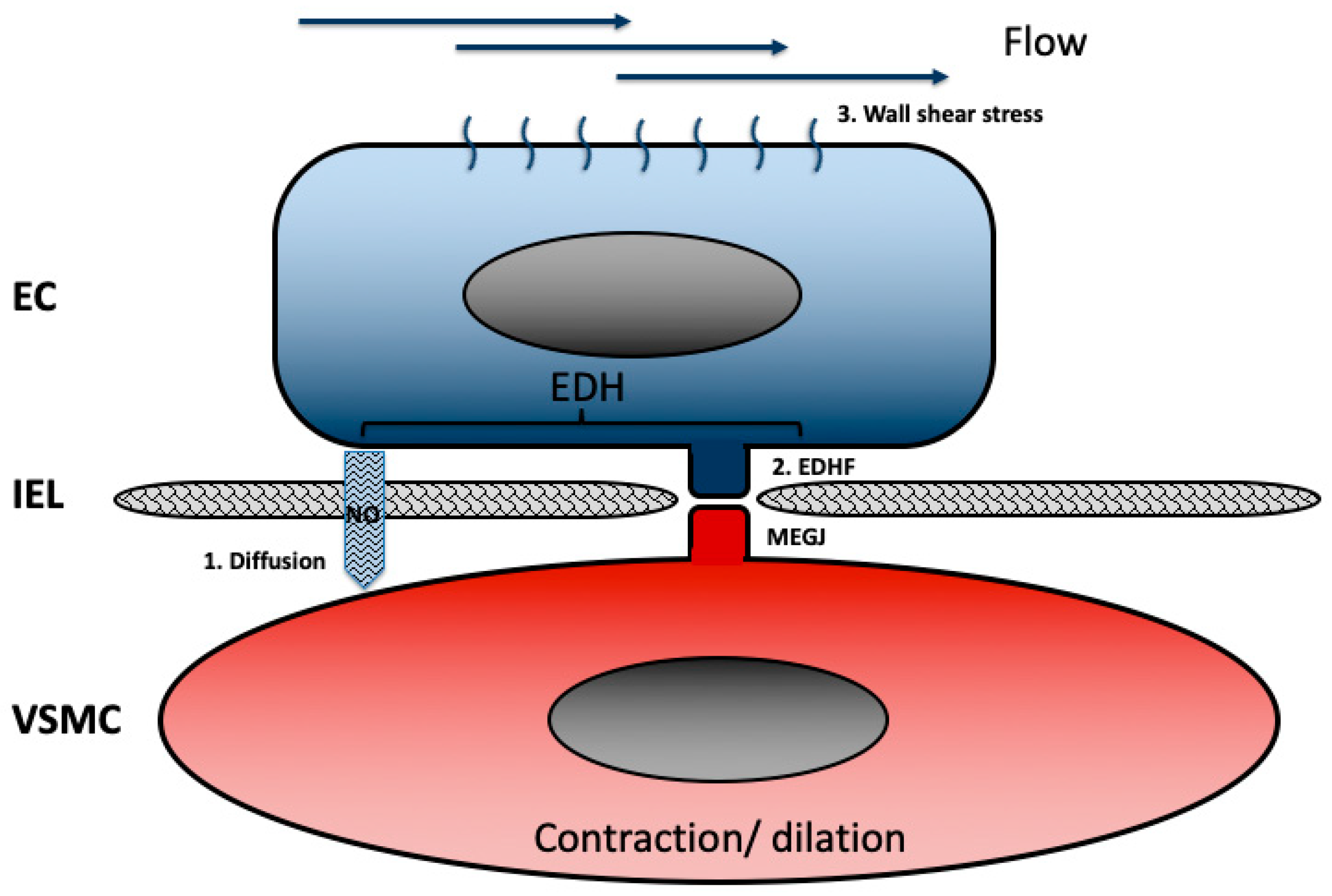 Ijms 20 05694 g003 Ijms 20 05694 g003