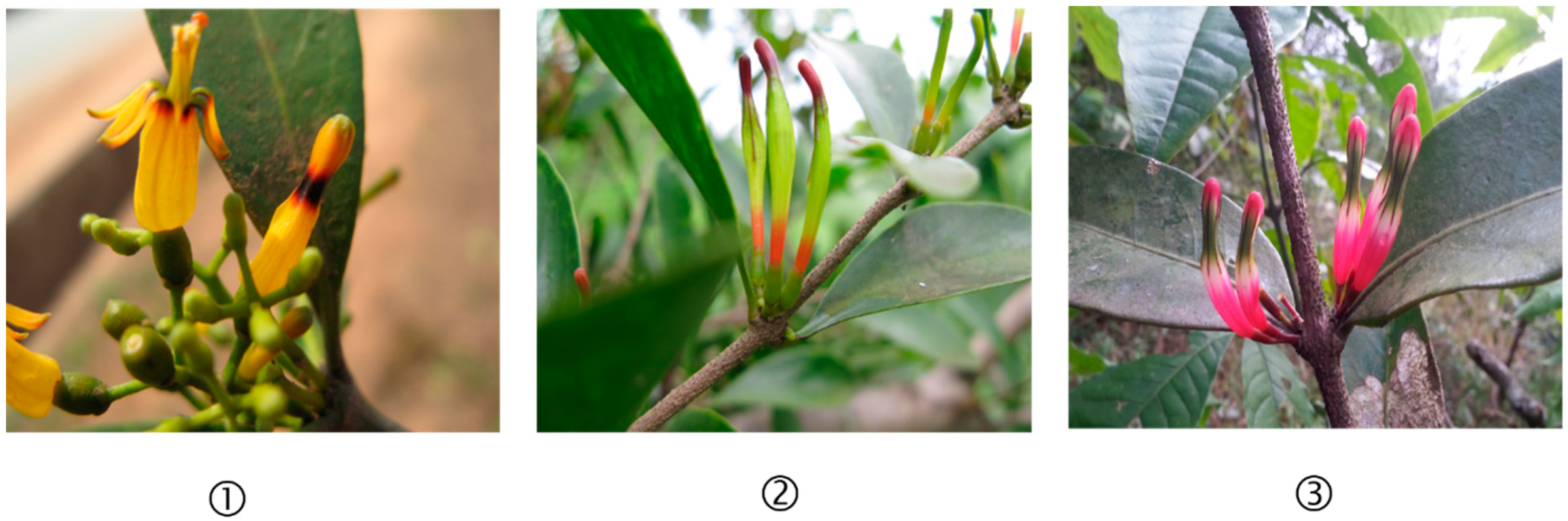 Ijms 20 05812 g001 Ijms 20 05812 g001