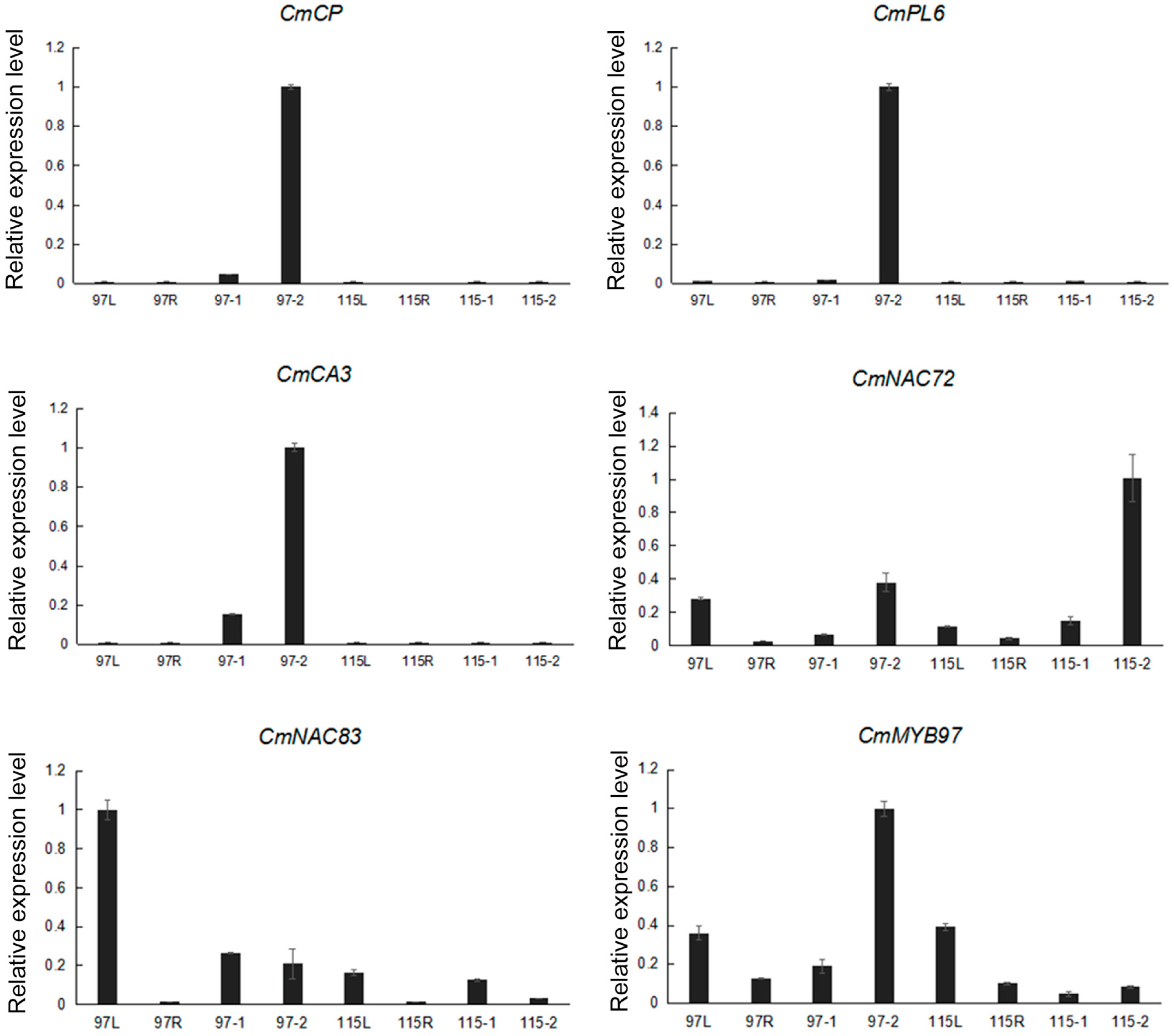Ijms 20 05865 g007 Ijms 20 05865 g007