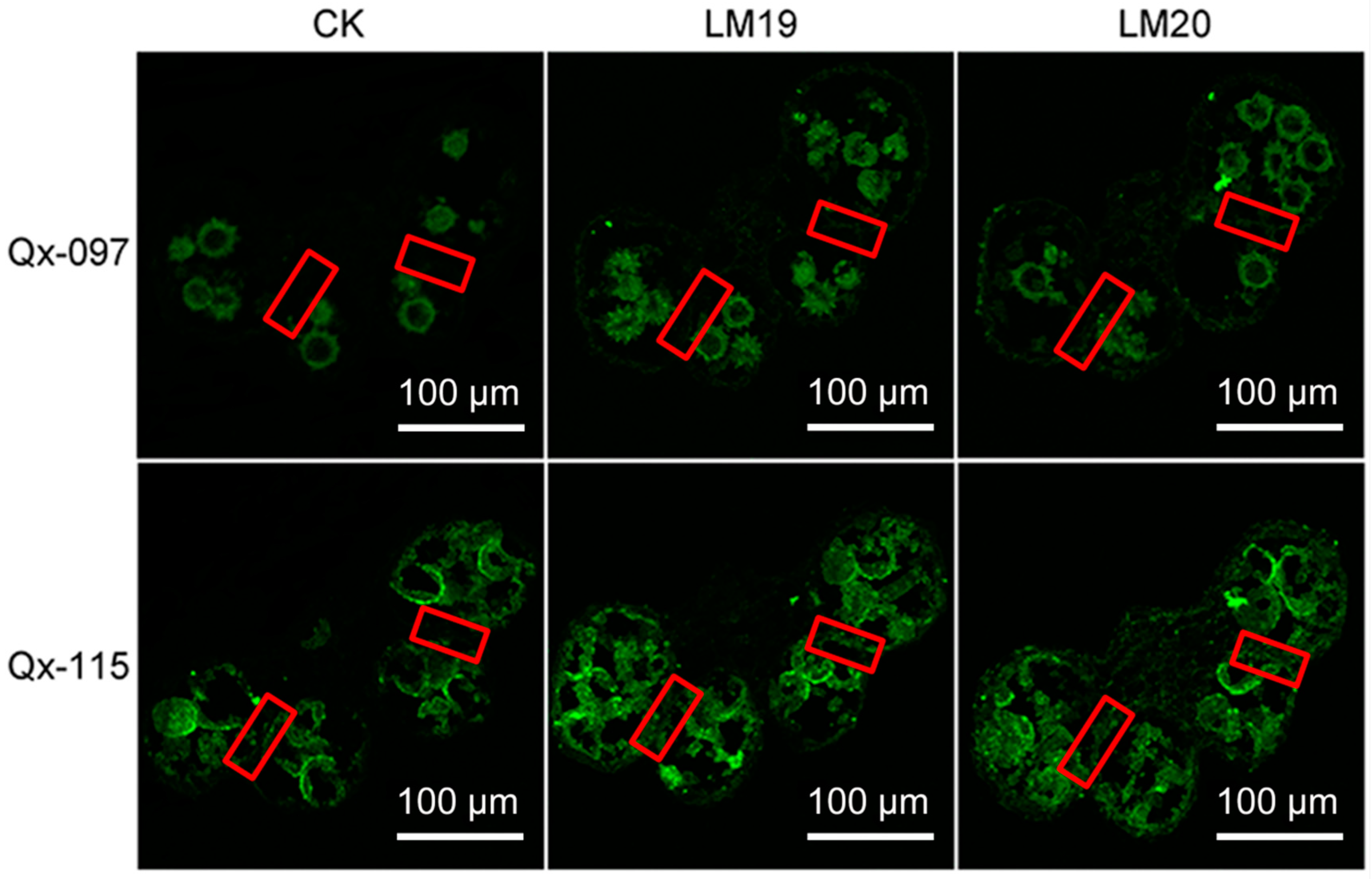 Ijms 20 05865 g008 Ijms 20 05865 g008
