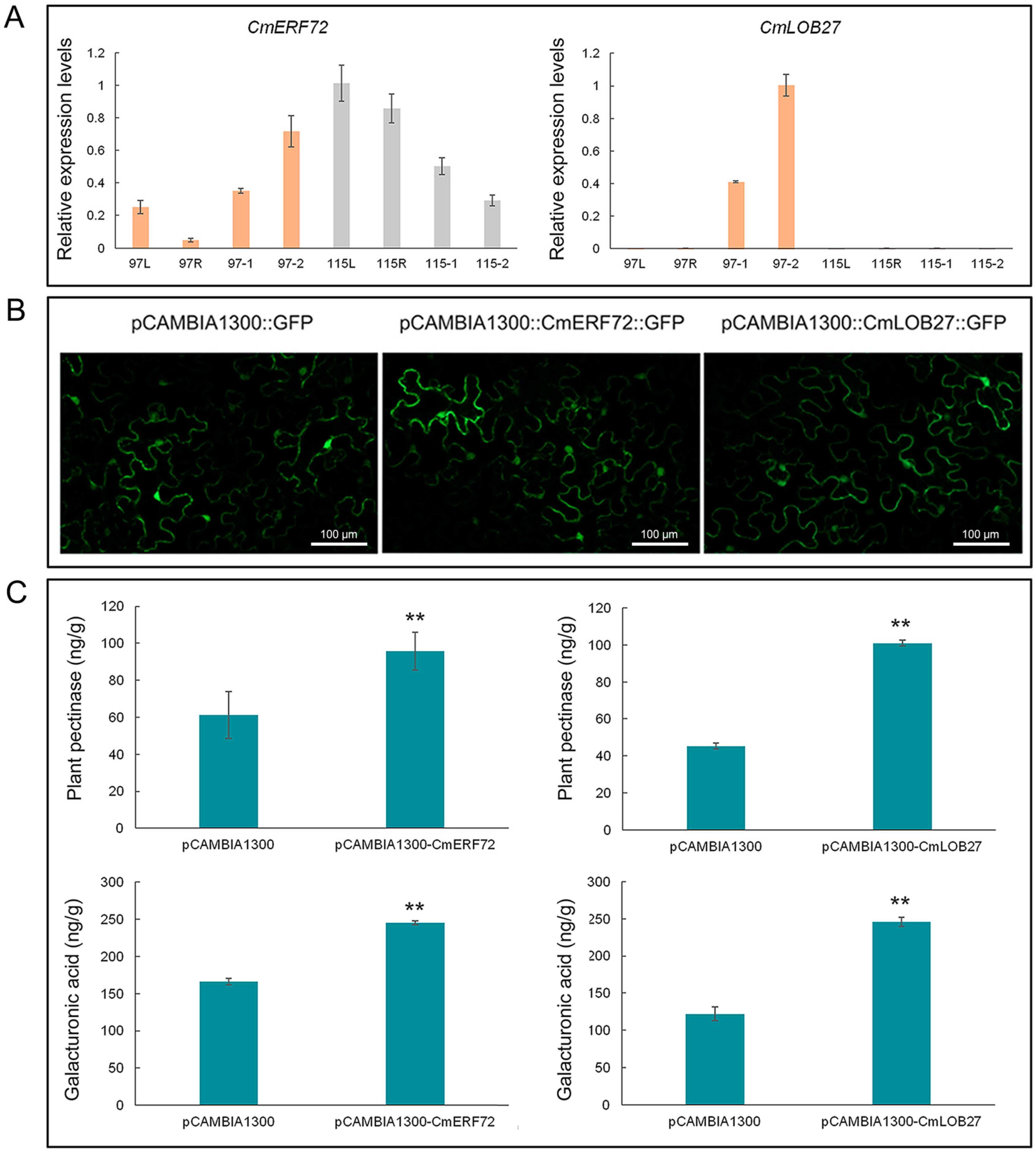 Ijms 20 05865 g009 Ijms 20 05865 g009
