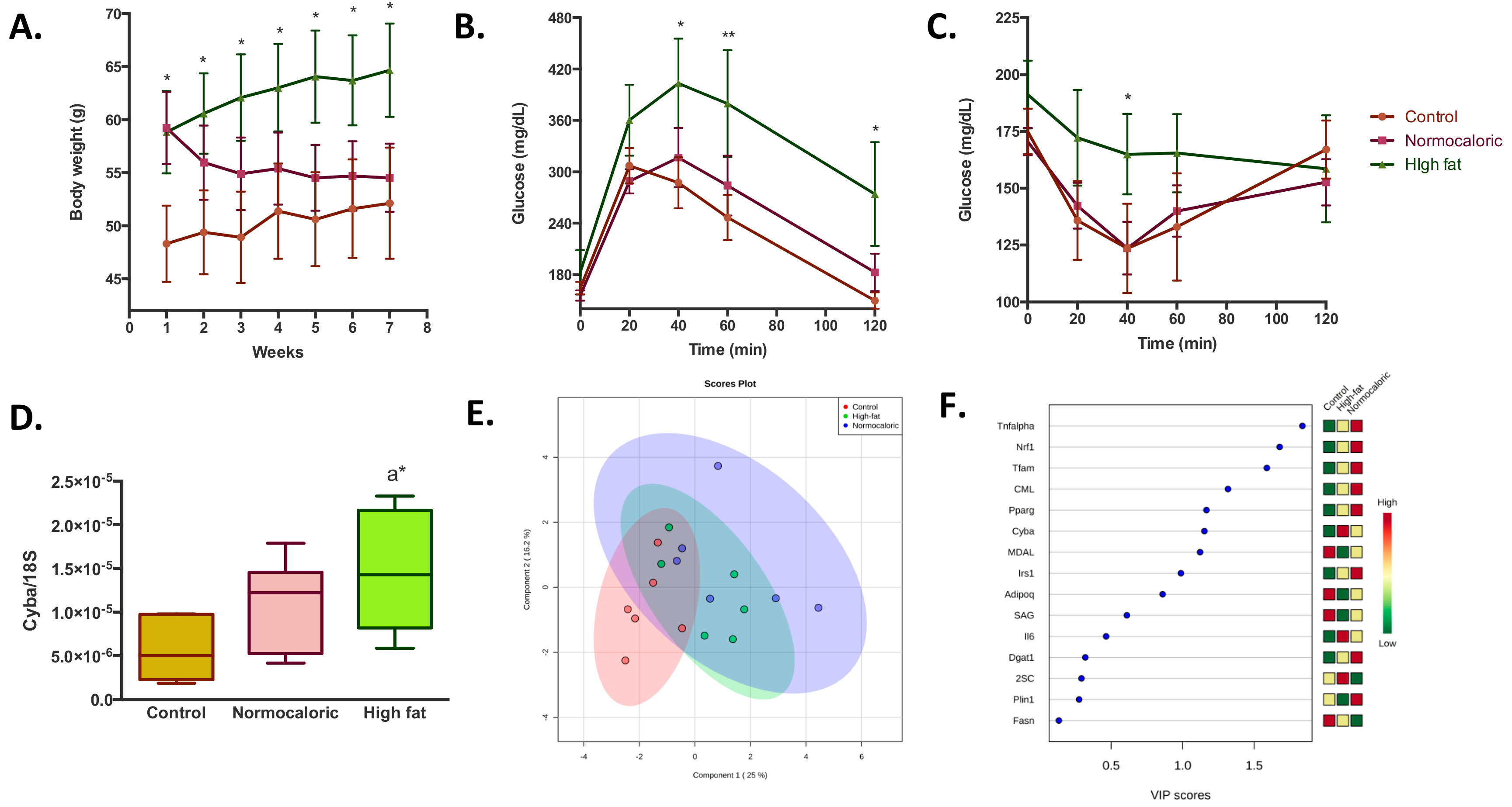 Ijms 20 05870 g001 Ijms 20 05870 g001