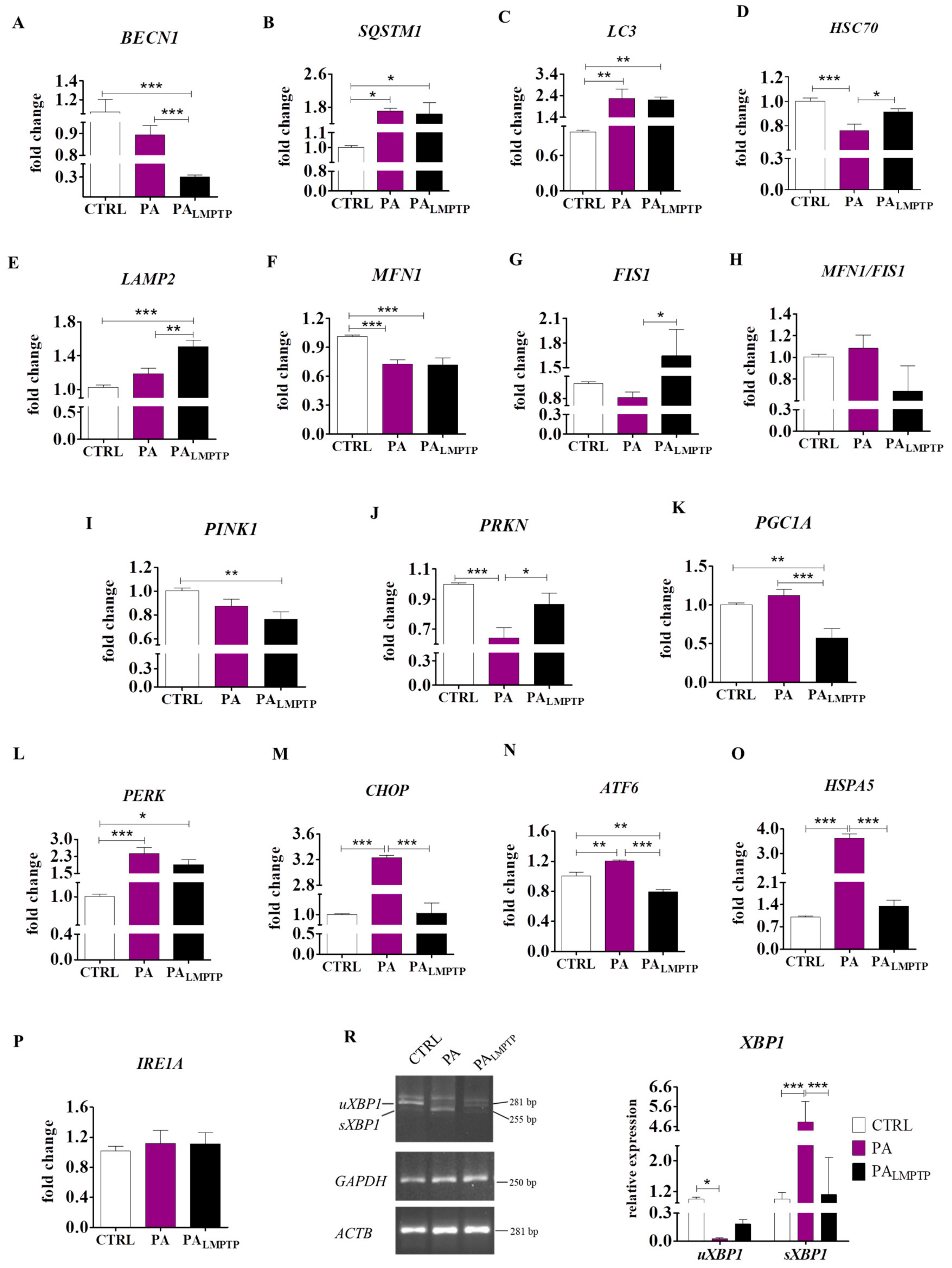 Ijms 20 05873 g003 Ijms 20 05873 g003