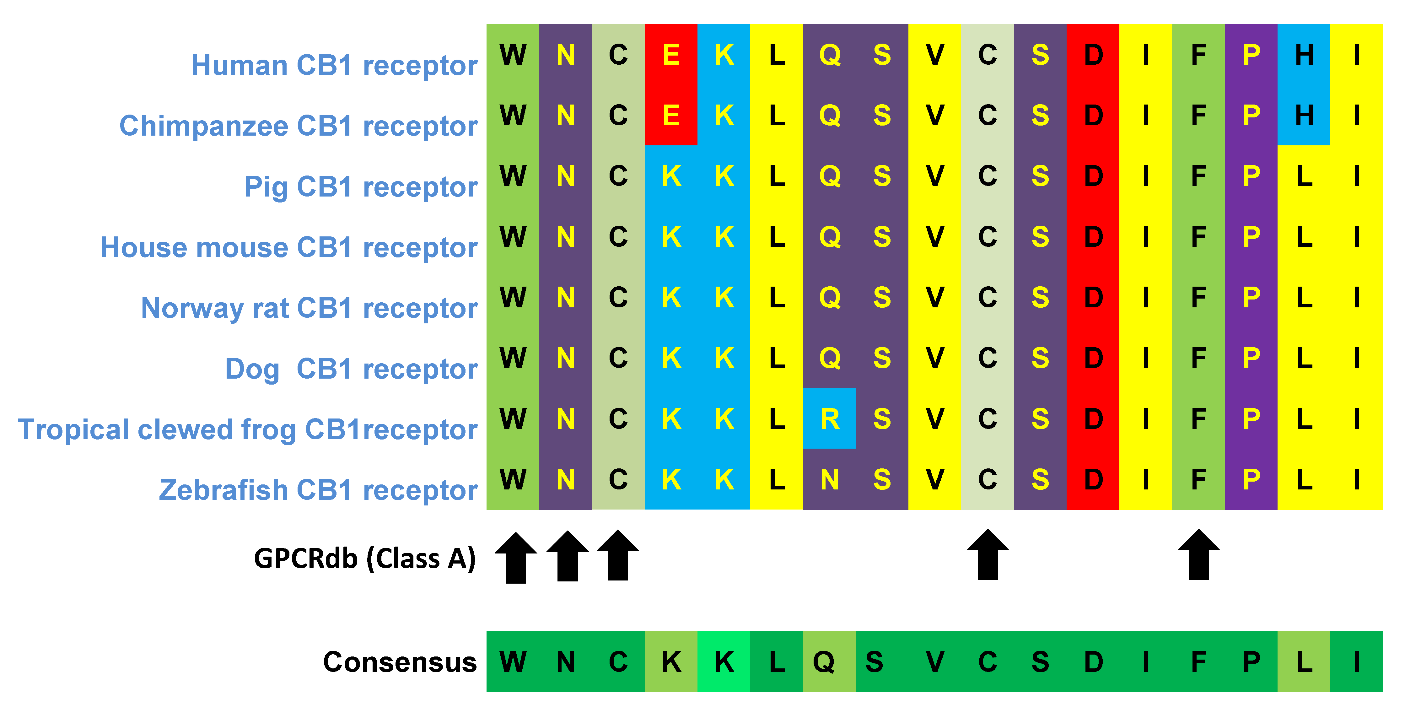 Ijms 20 05874 g005 Ijms 20 05874 g005