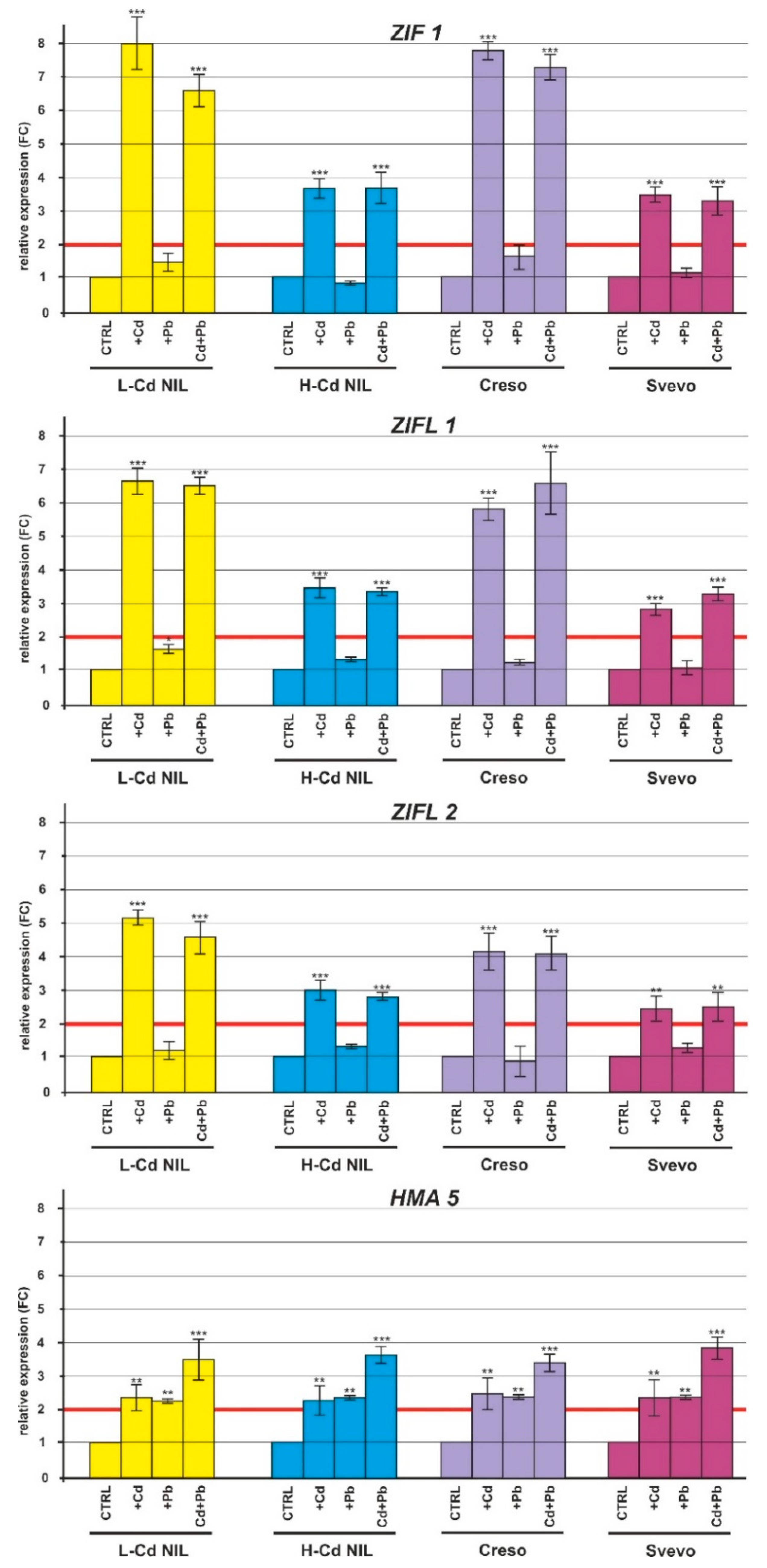 Ijms 20 05891 g006 Ijms 20 05891 g006