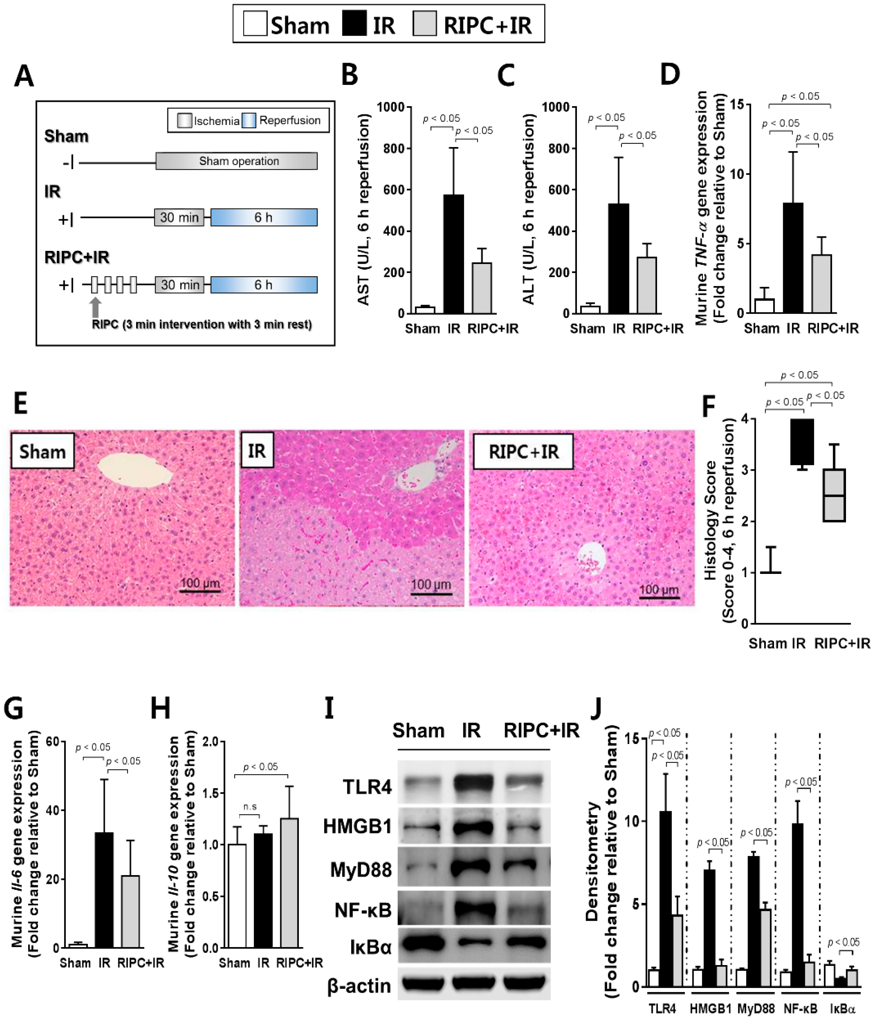 Ijms 20 05899 g001 Ijms 20 05899 g001