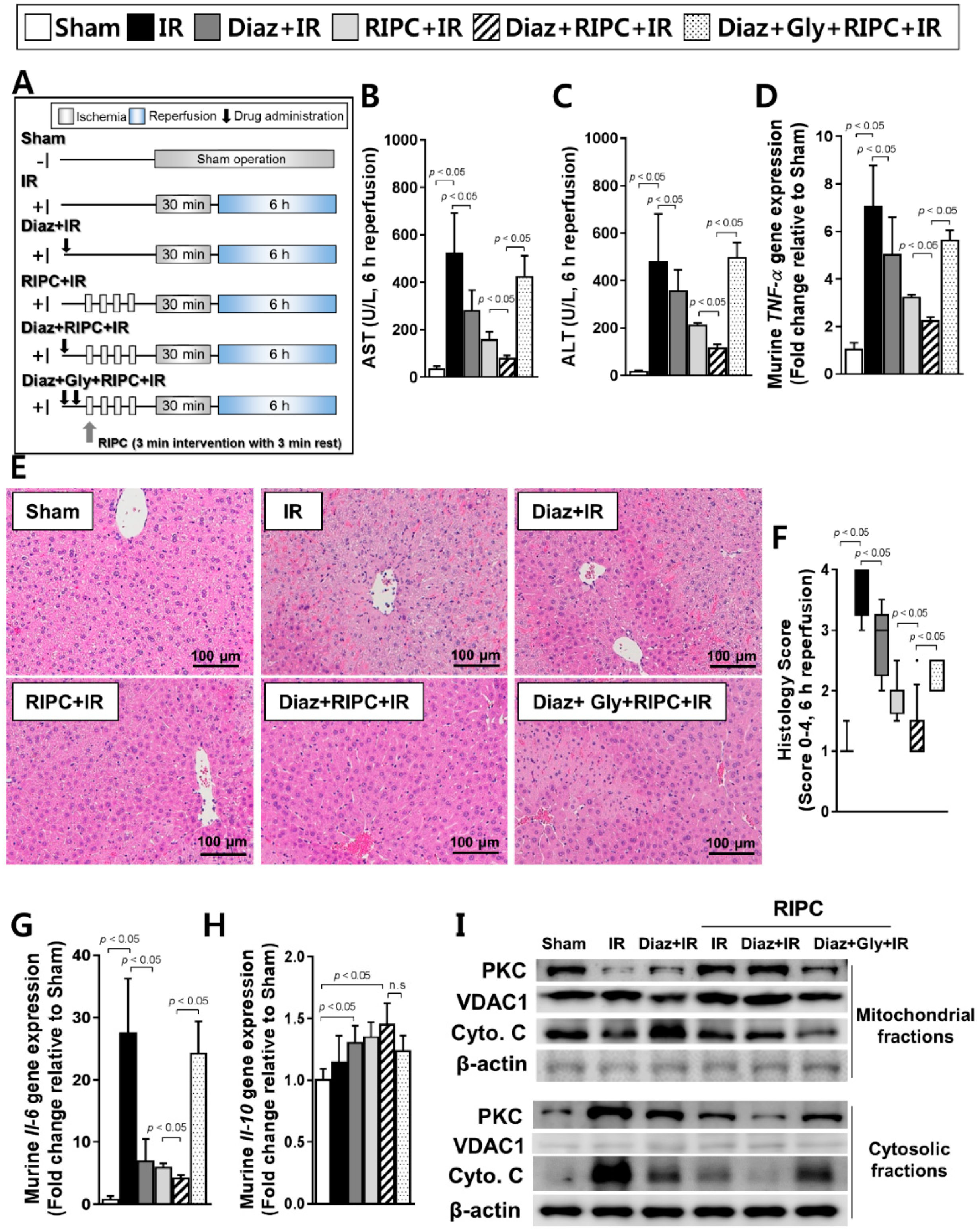 Ijms 20 05899 g004 Ijms 20 05899 g004