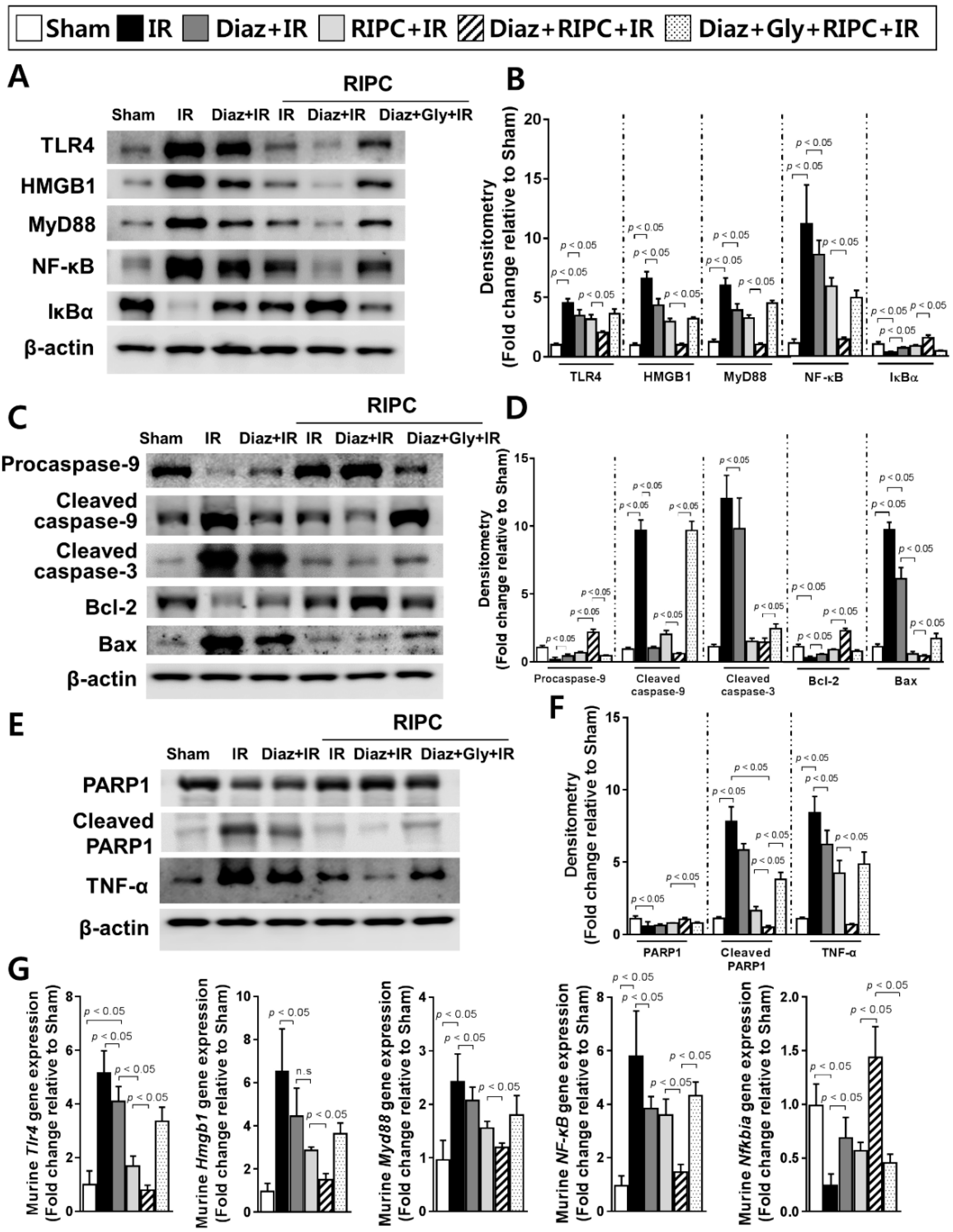 Ijms 20 05899 g005 Ijms 20 05899 g005