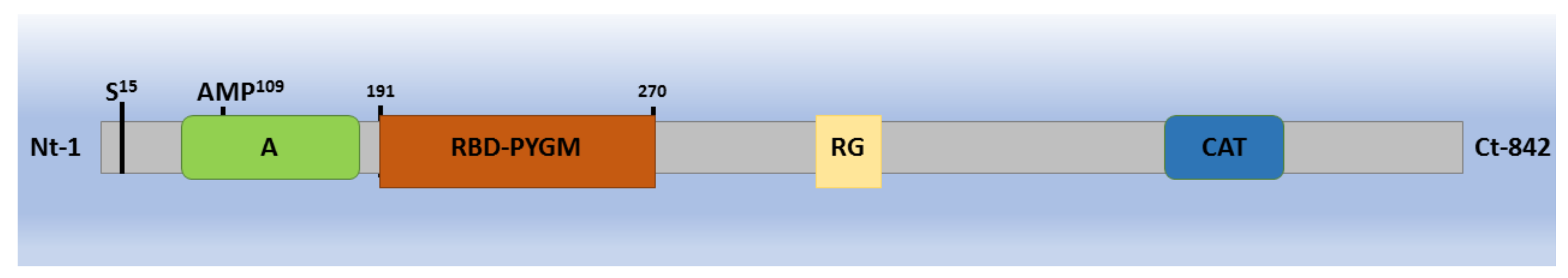 Ijms 20 05919 g001 Ijms 20 05919 g001