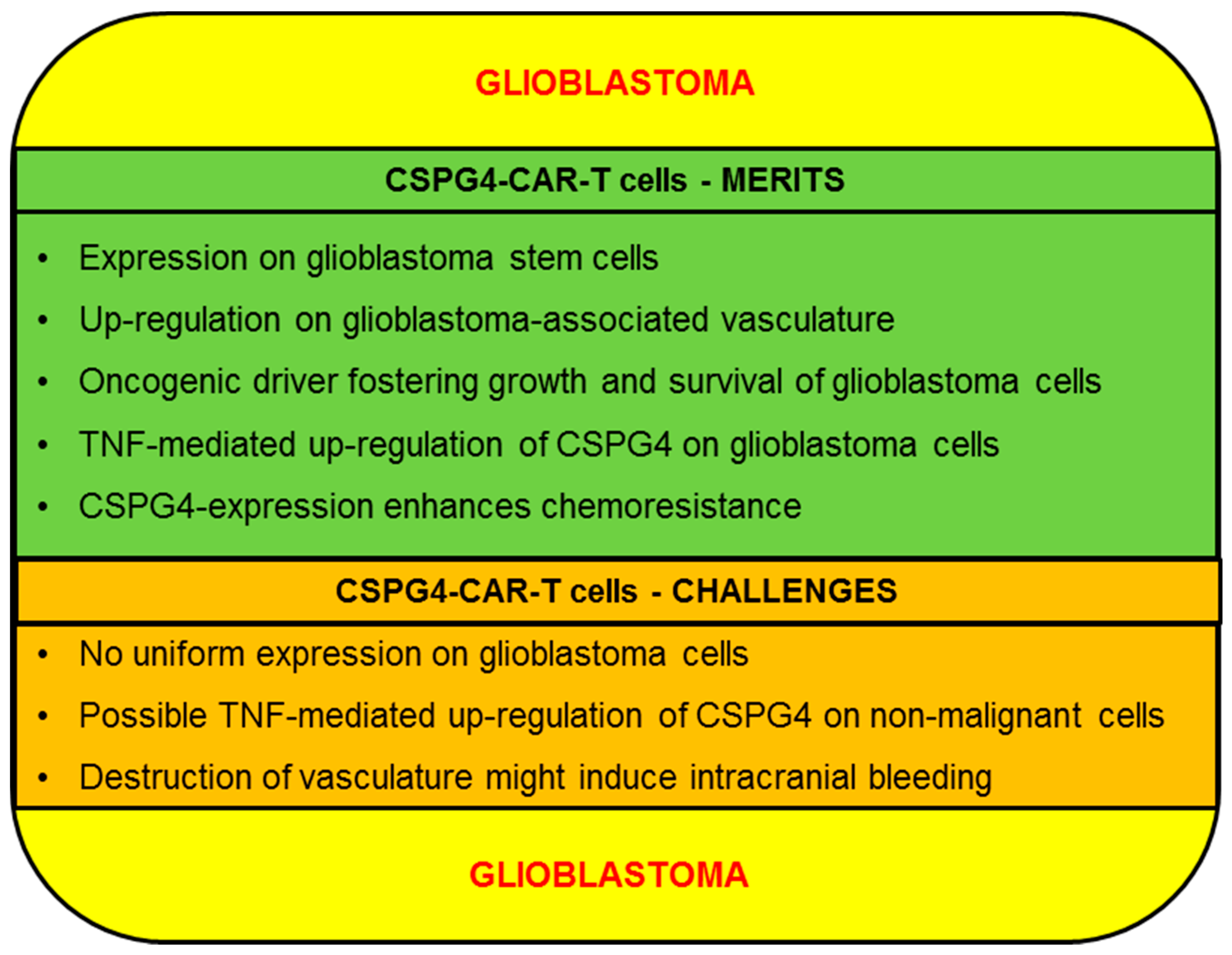 Ijms 20 05942 g004 Ijms 20 05942 g004