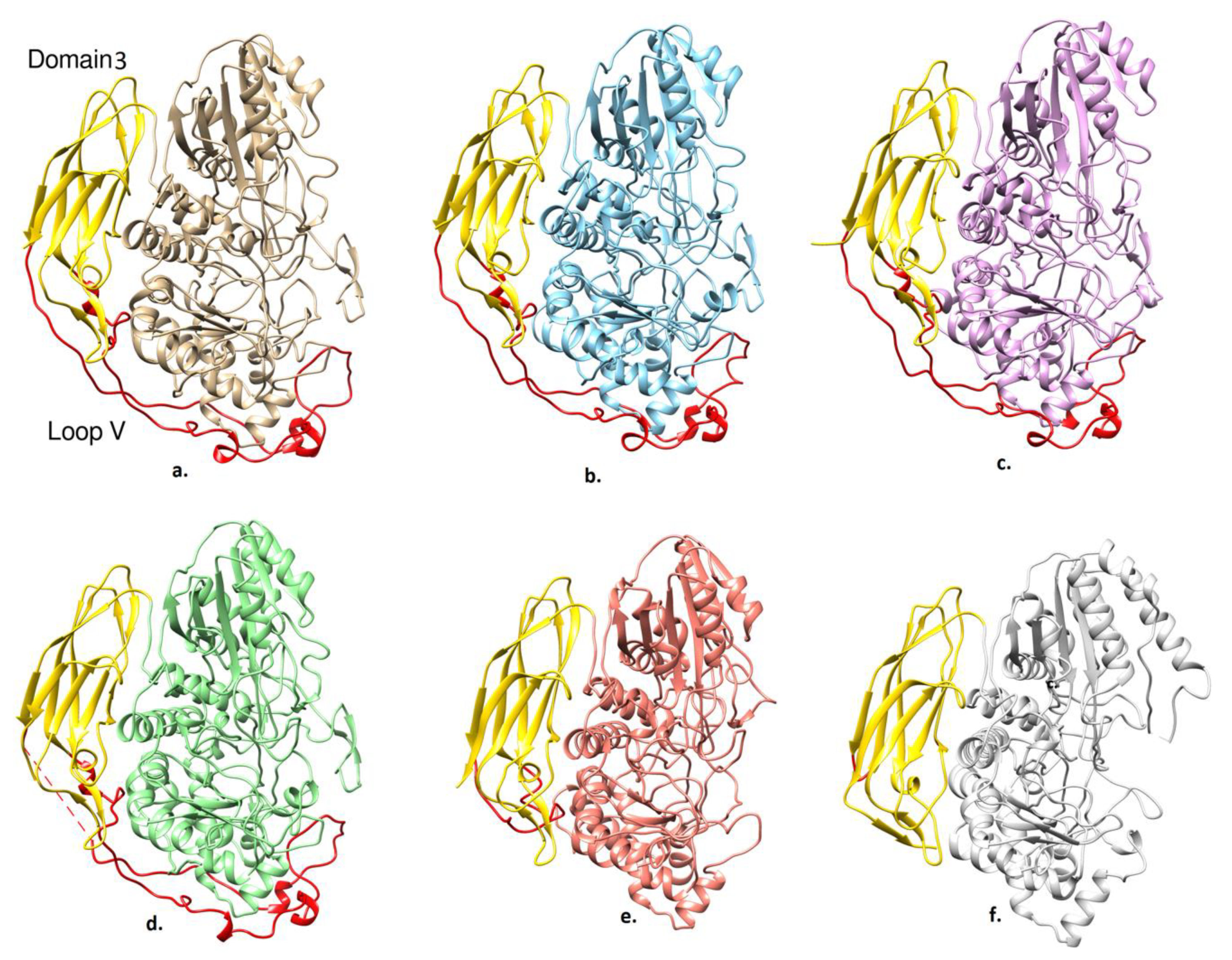 Ijms 20 05962 g004 Ijms 20 05962 g004