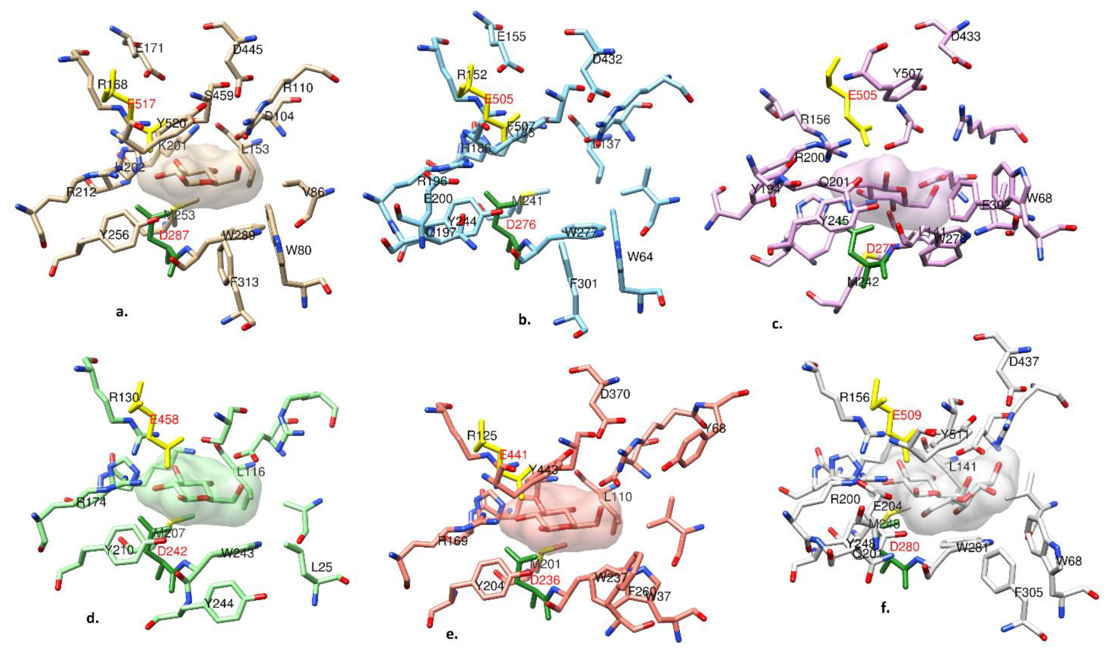 Ijms 20 05962 g006 Ijms 20 05962 g006