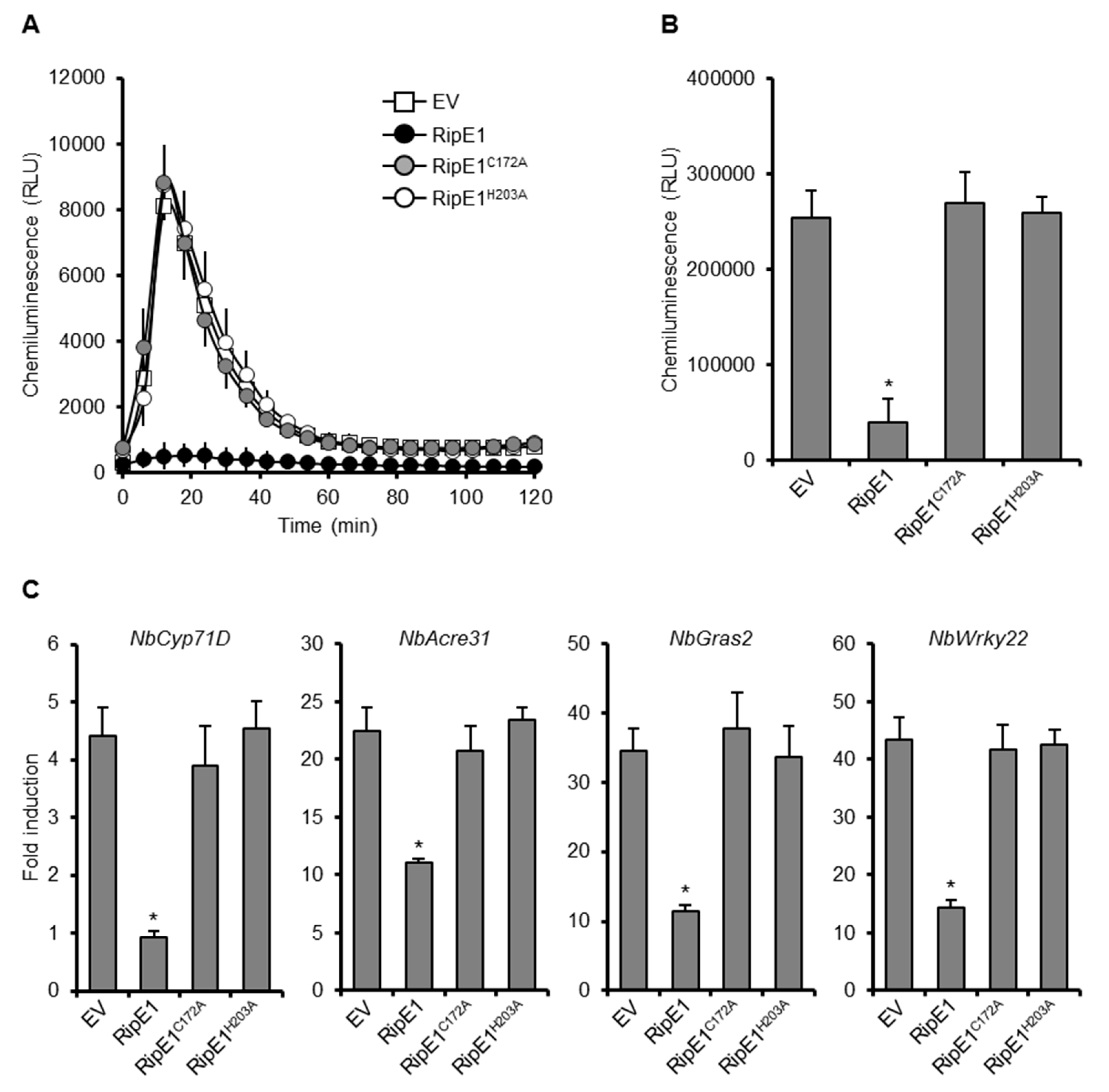 Ijms 20 05992 g002 Ijms 20 05992 g002