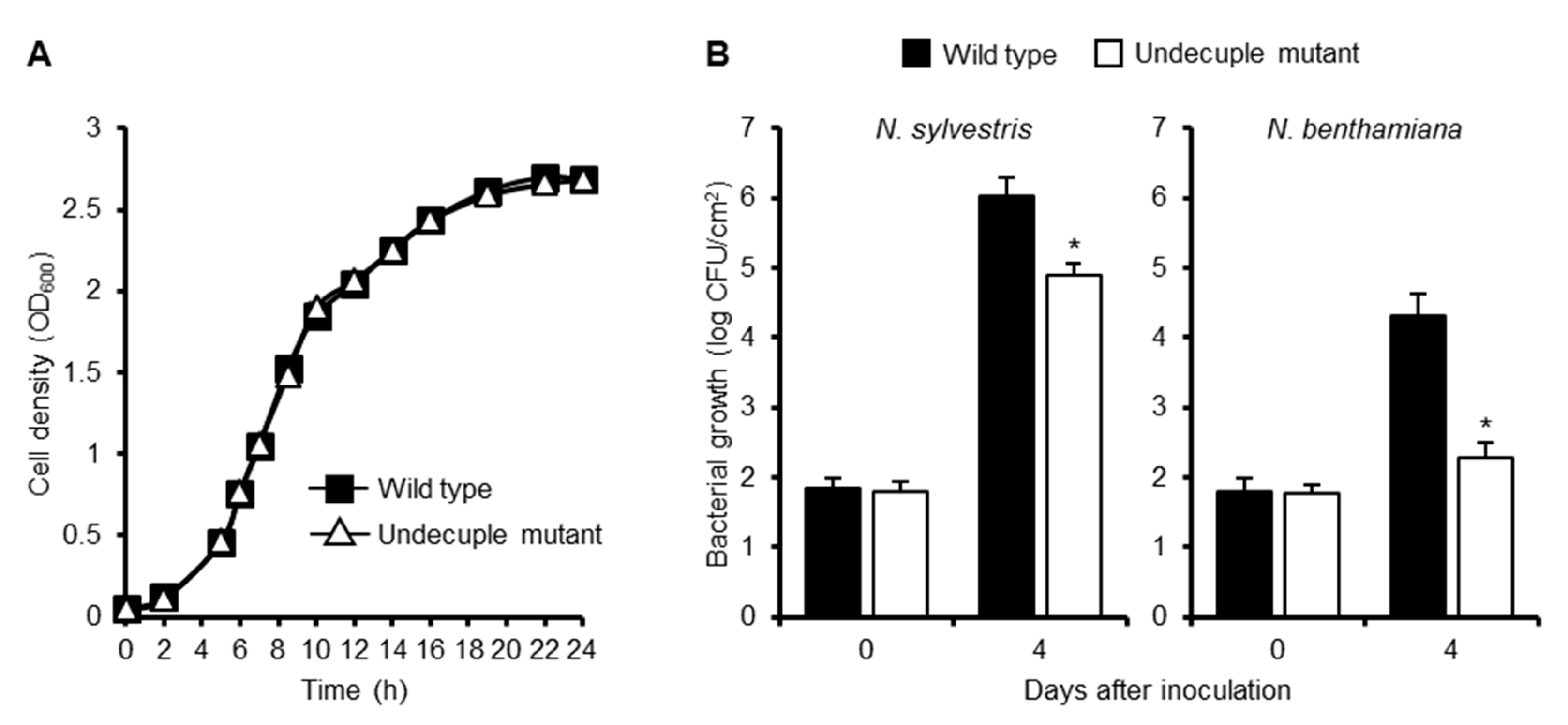 Ijms 20 05992 g007 Ijms 20 05992 g007