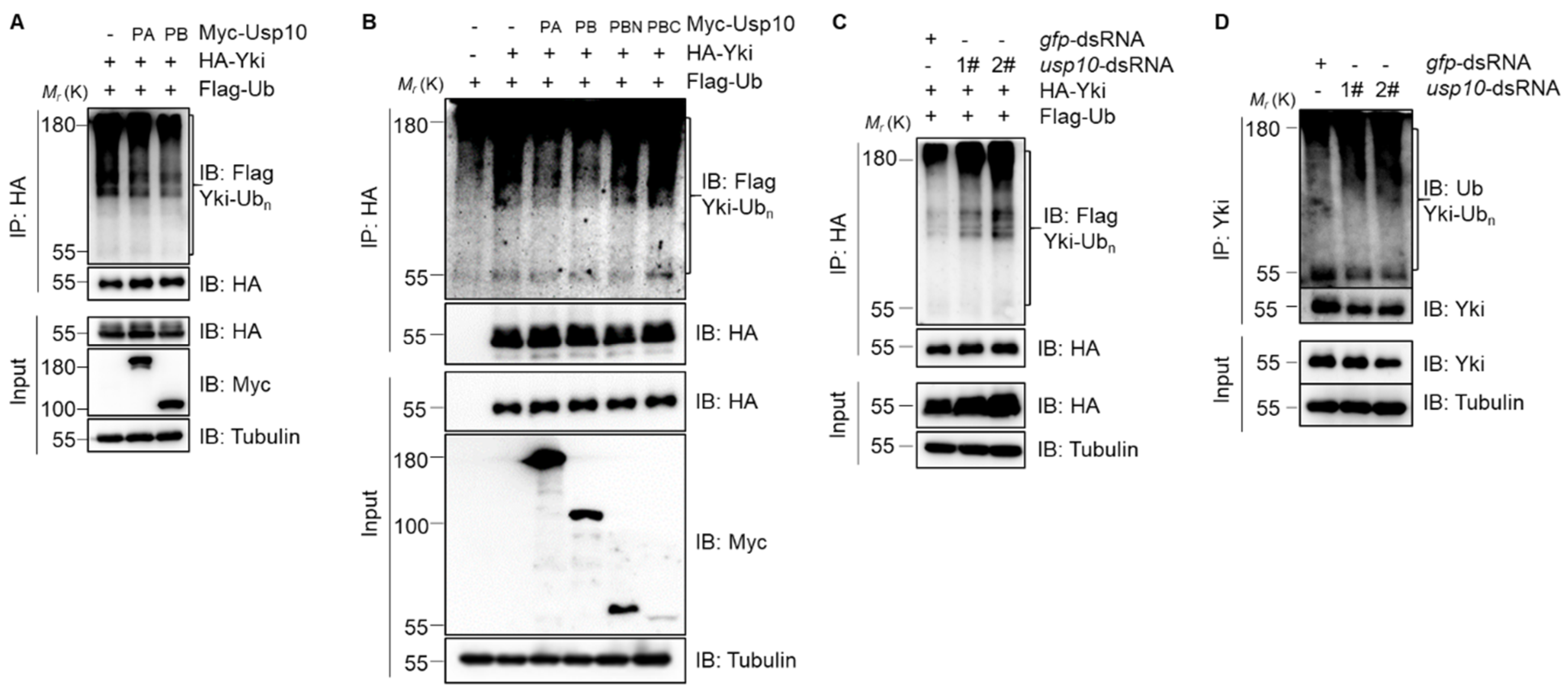 Ijms 20 06013 g004
