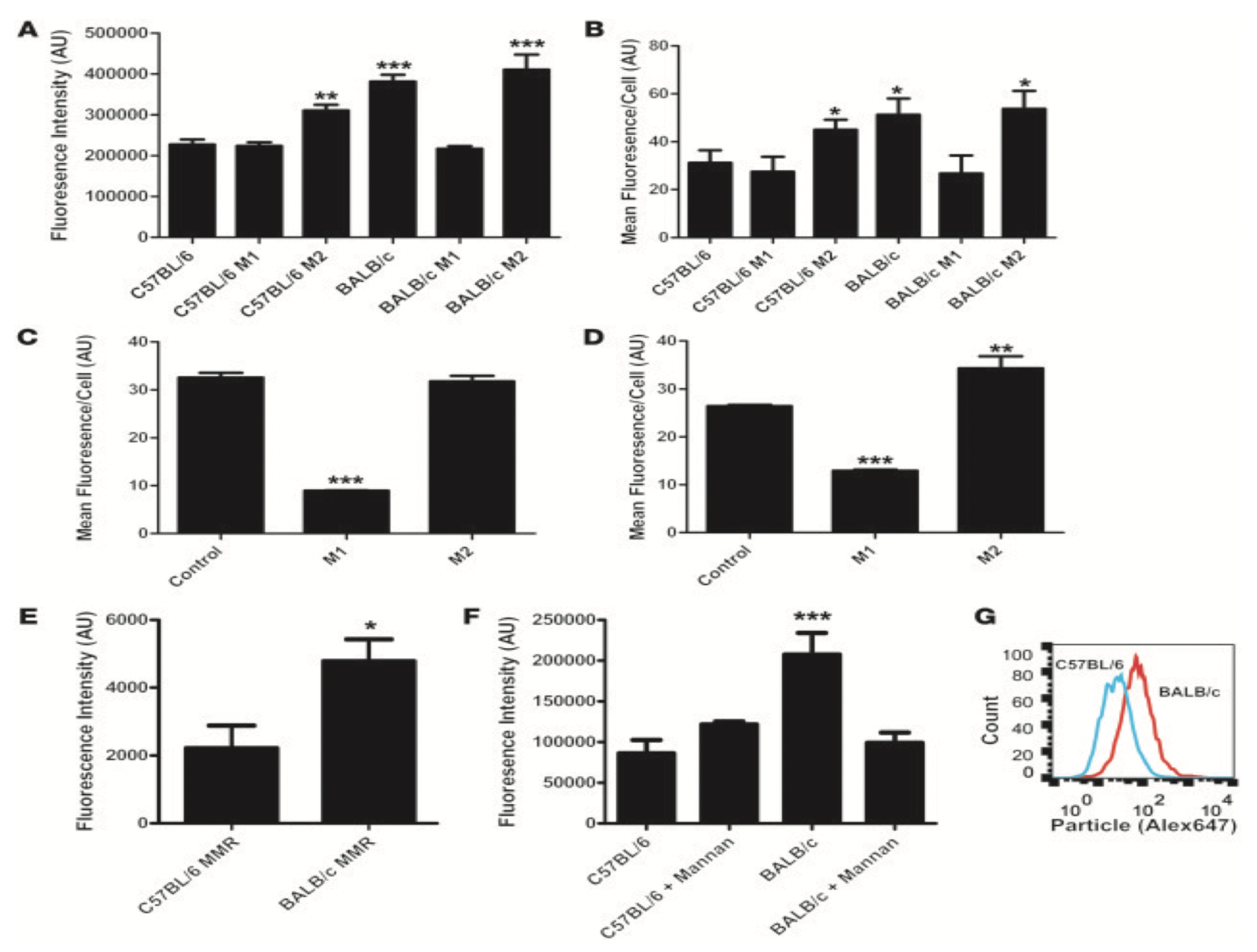 Ijms 20 06056 g007 Ijms 20 06056 g007