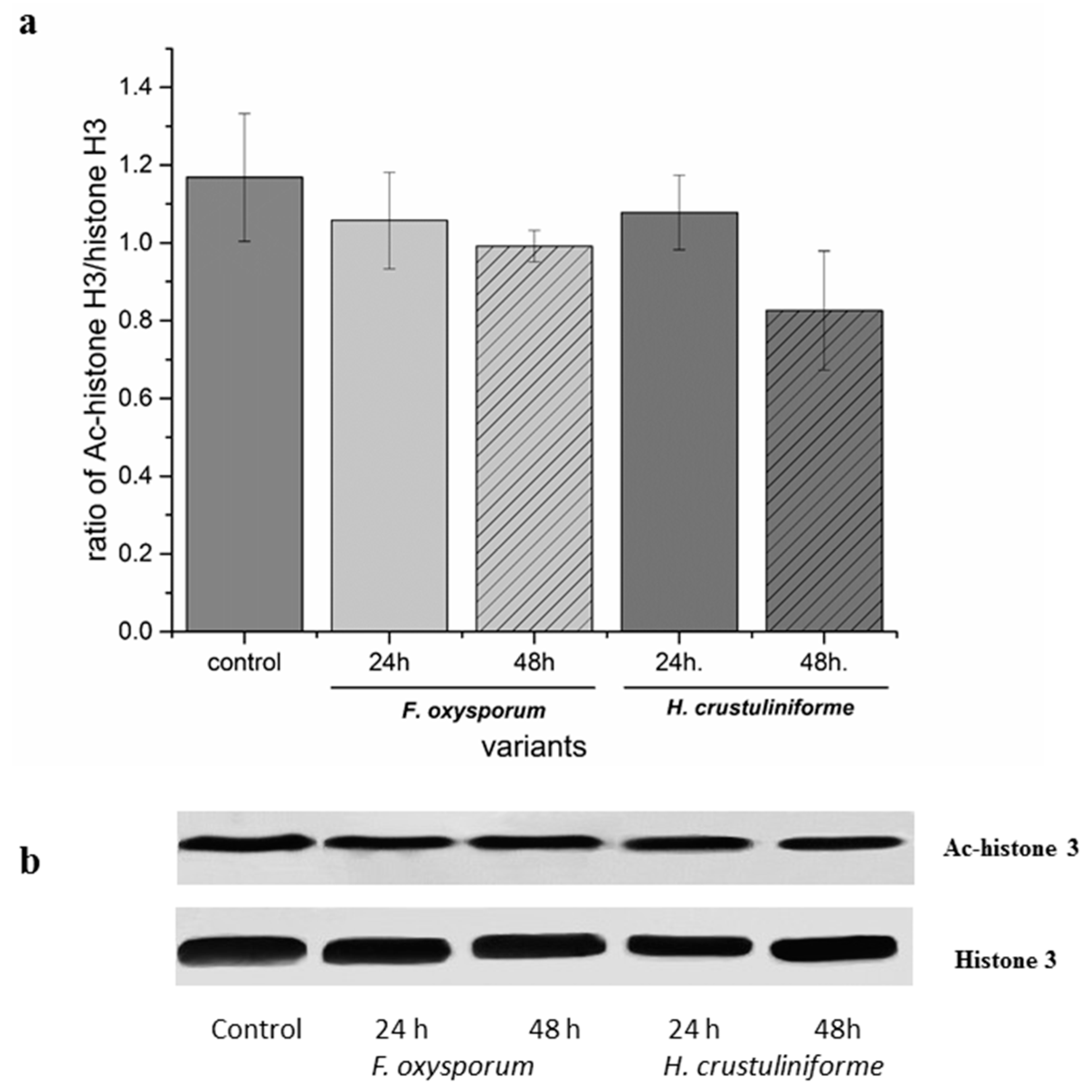 Ijms 20 06099 g001 Ijms 20 06099 g001