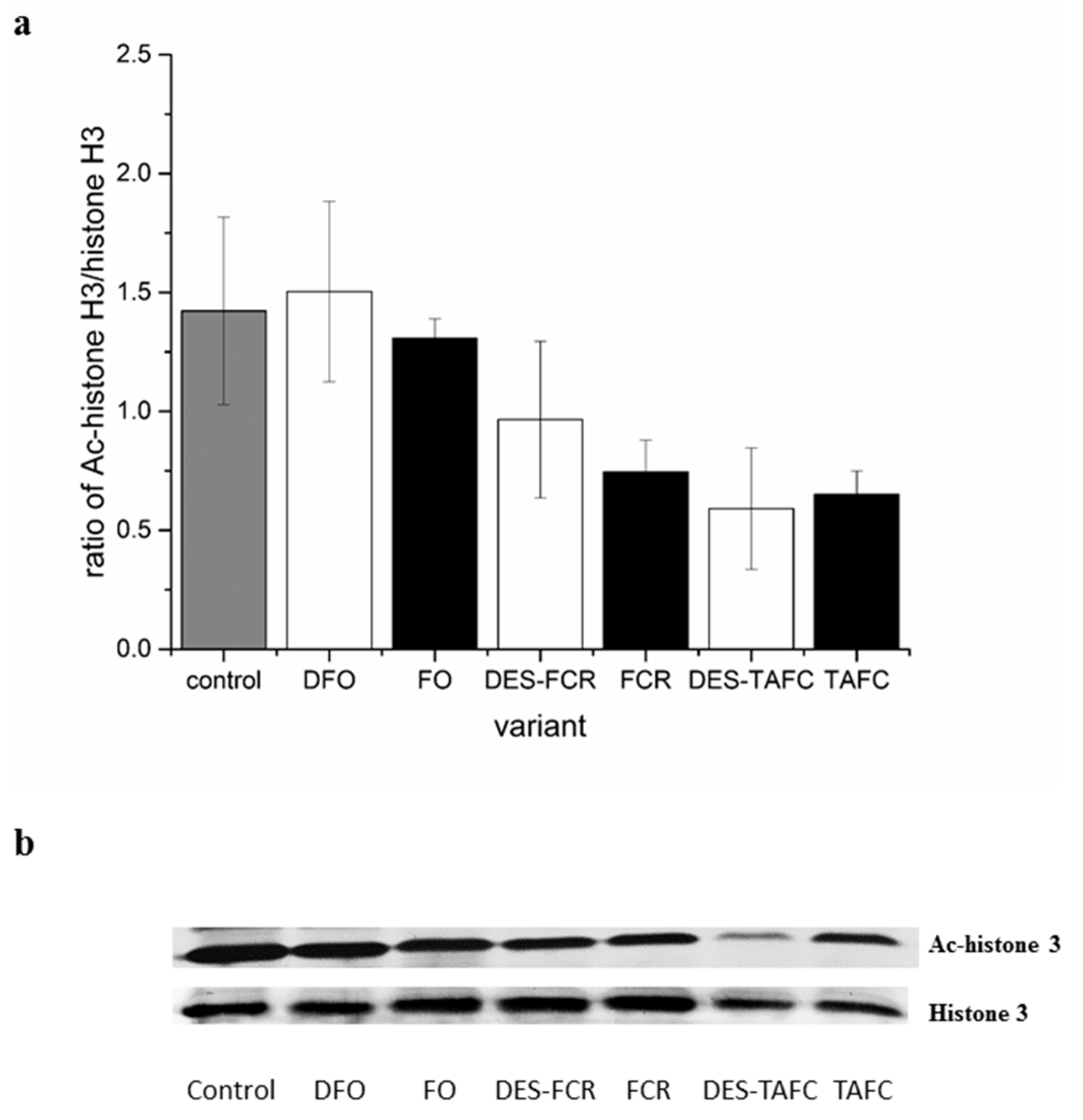 Ijms 20 06099 g002 Ijms 20 06099 g002