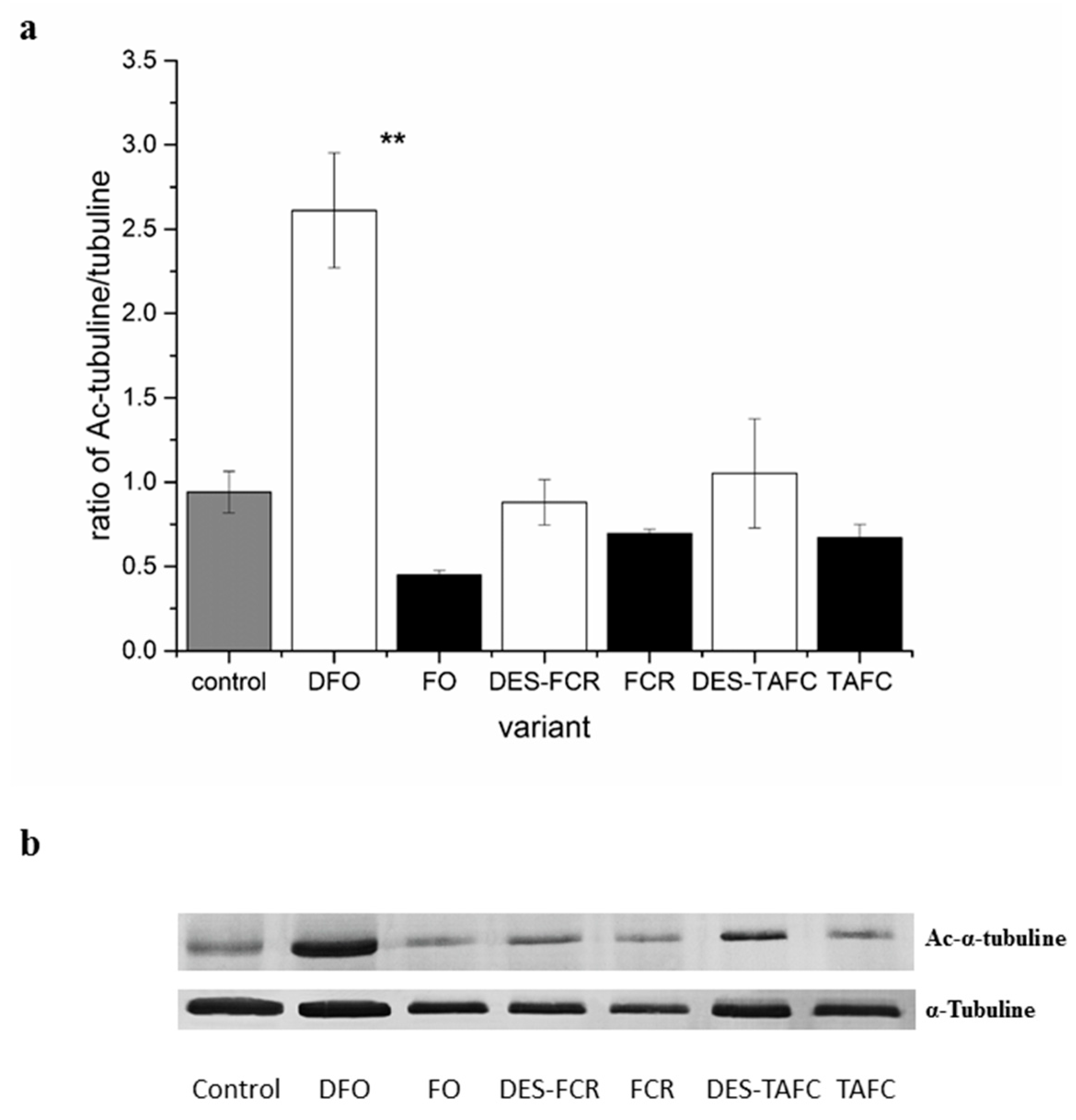Ijms 20 06099 g004 Ijms 20 06099 g004