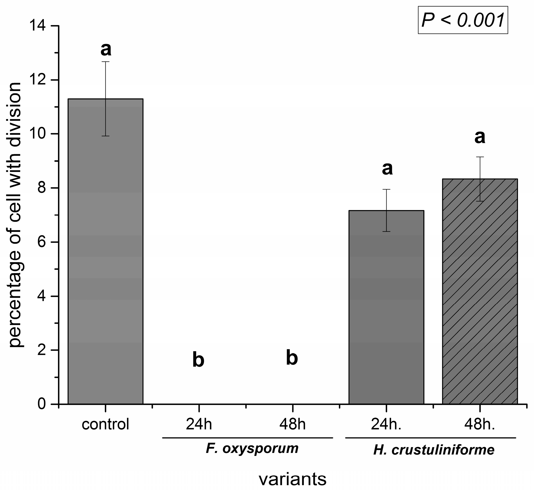 Ijms 20 06099 g006 Ijms 20 06099 g006