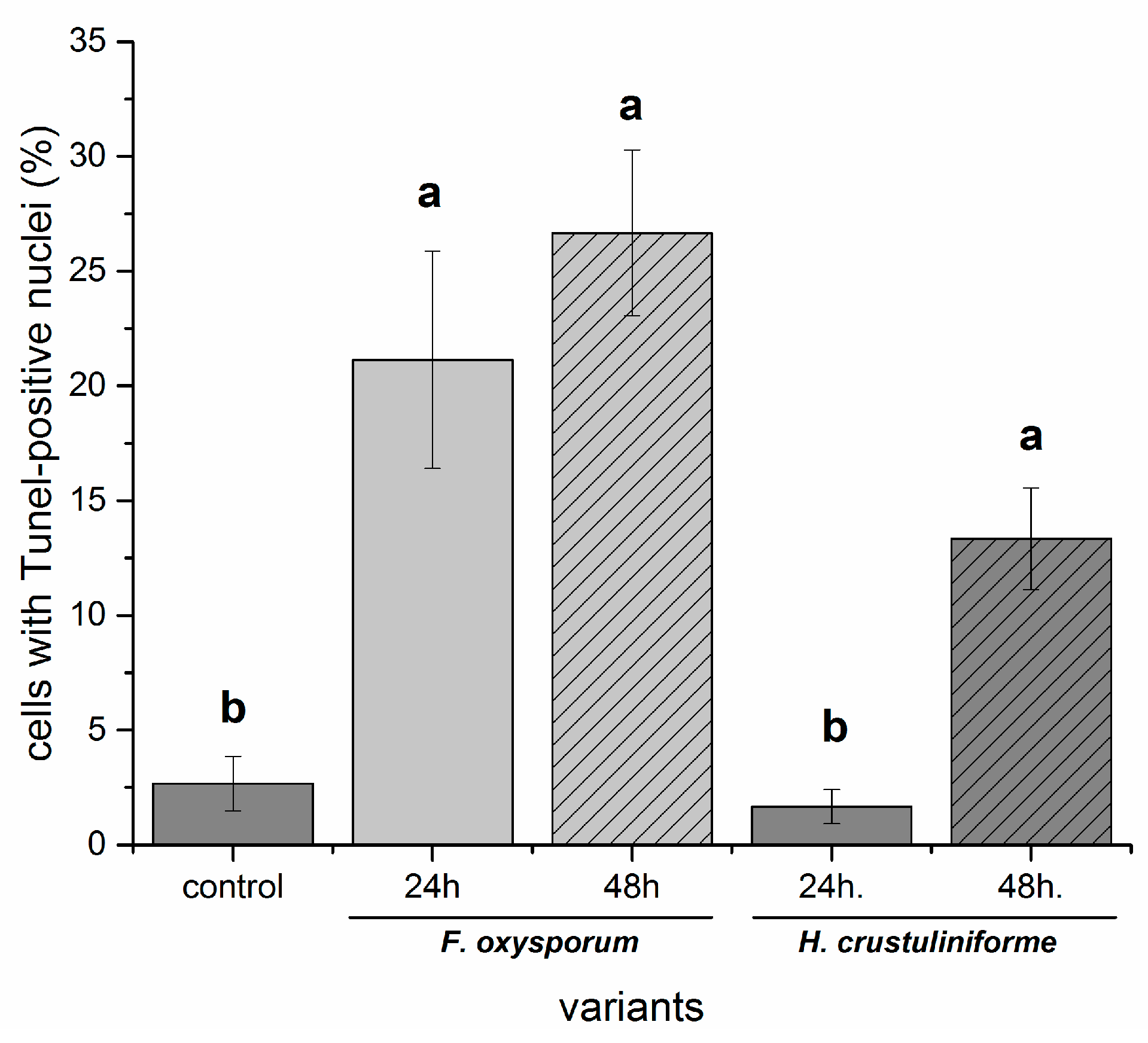 Ijms 20 06099 g008 Ijms 20 06099 g008