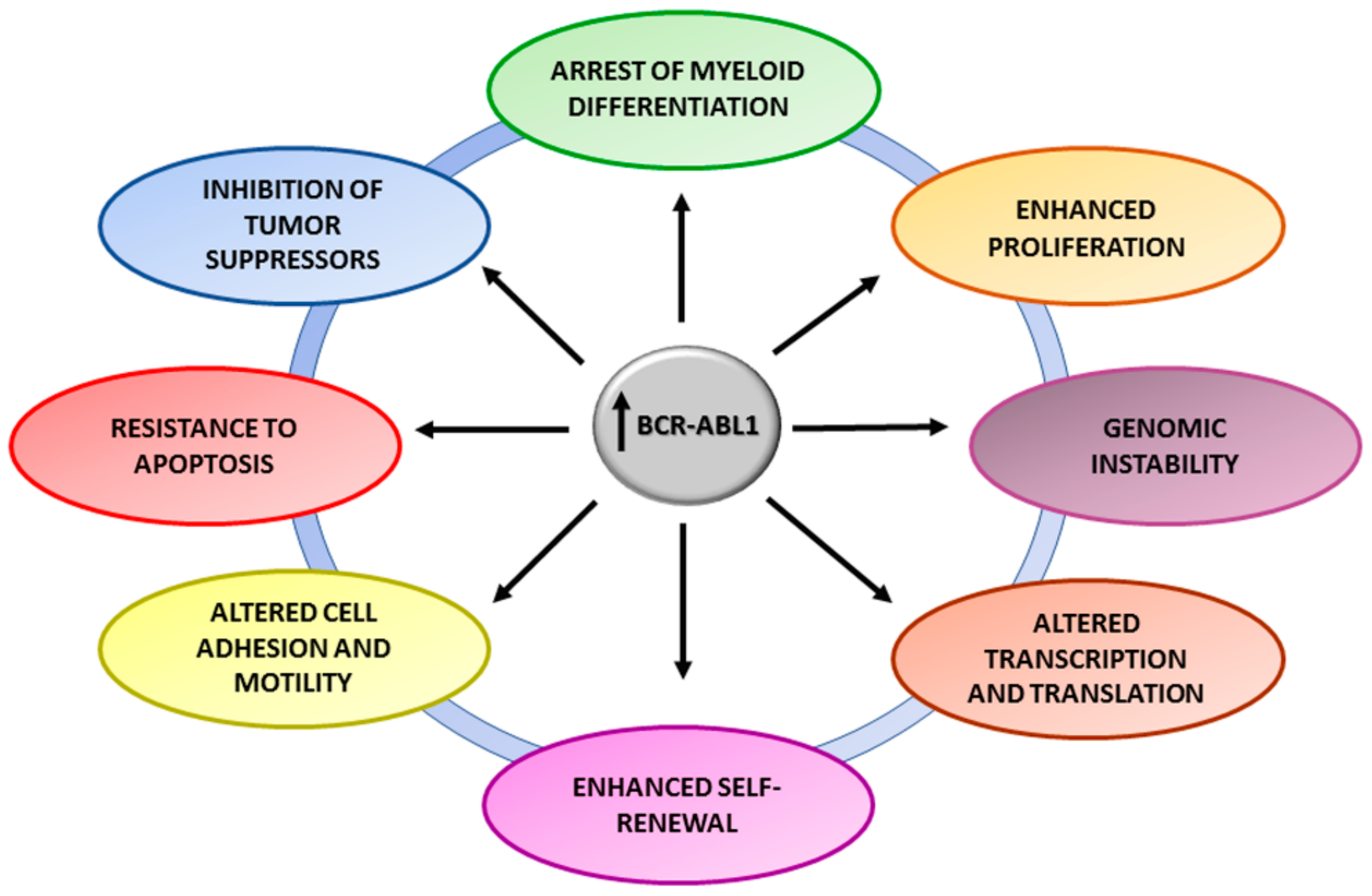 Ijms 20 06141 g001 Ijms 20 06141 g001