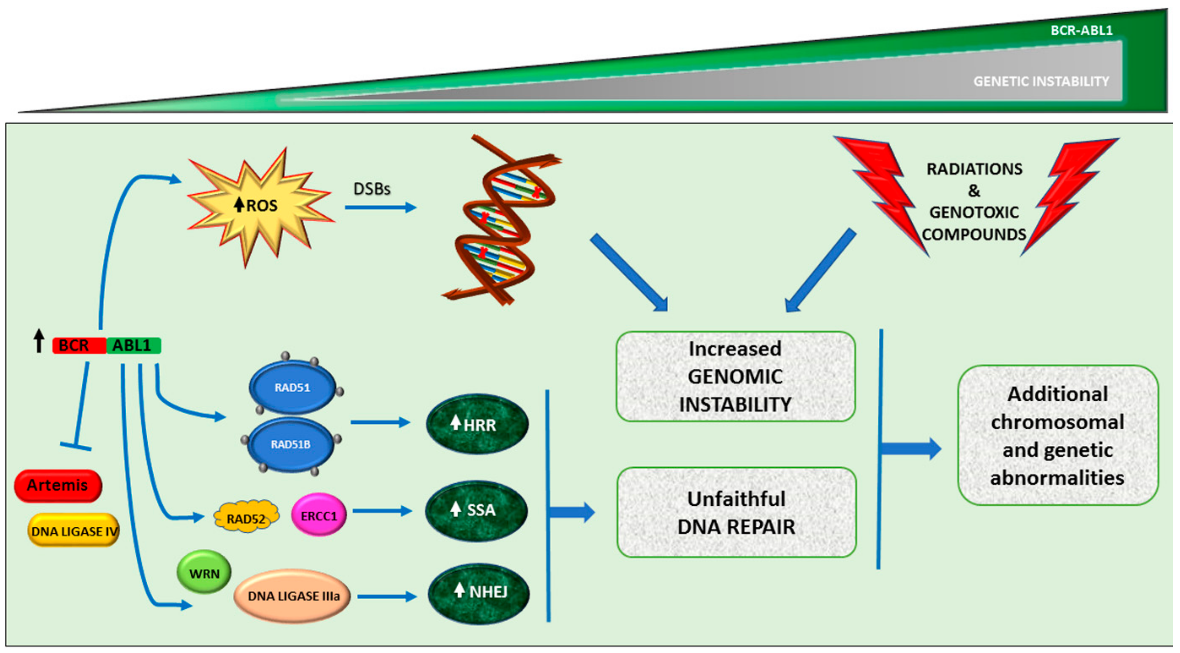 Ijms 20 06141 g002 Ijms 20 06141 g002