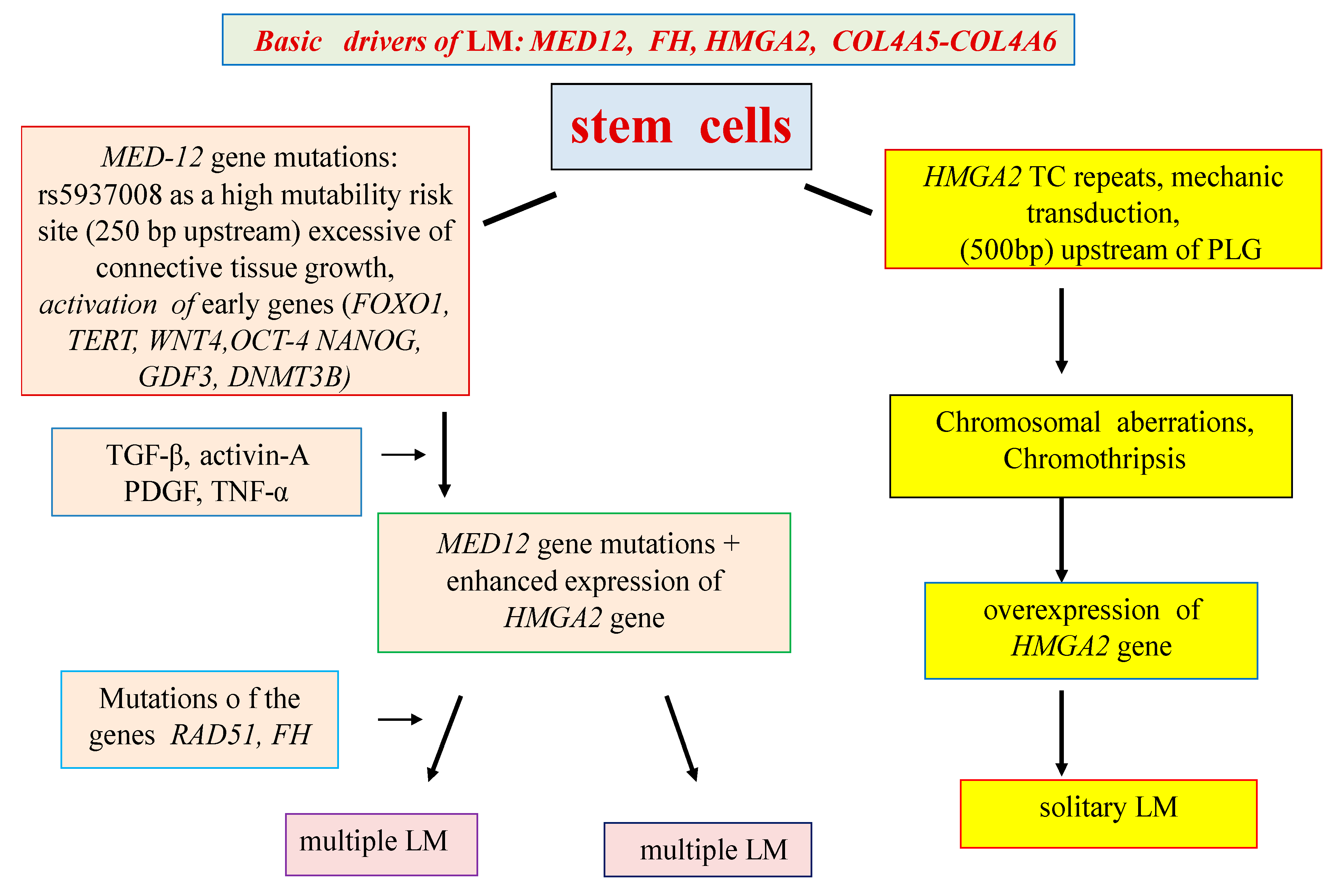 Ijms 20 06151 g001