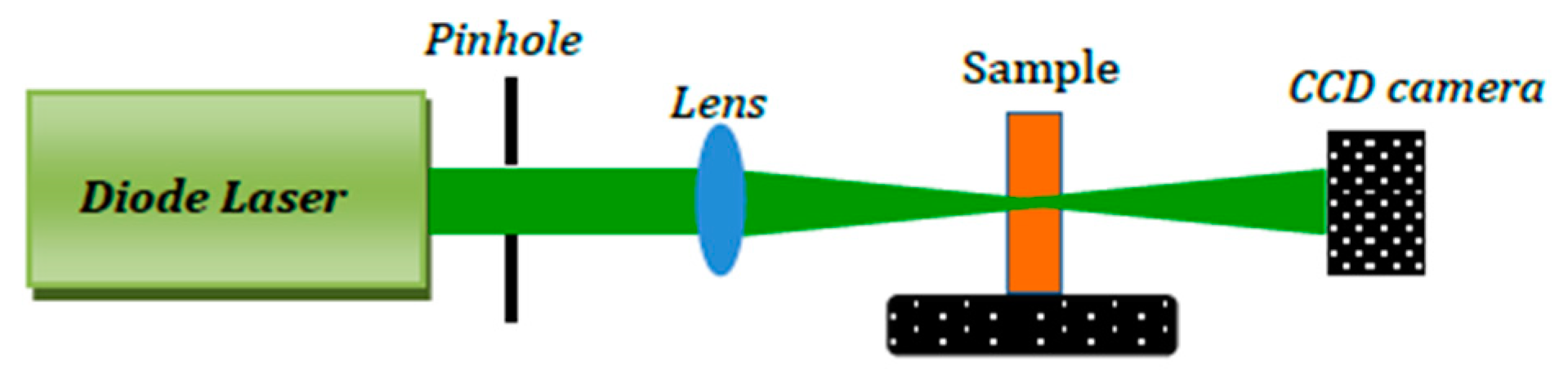 Ijms 20 06153 g013 Ijms 20 06153 g013