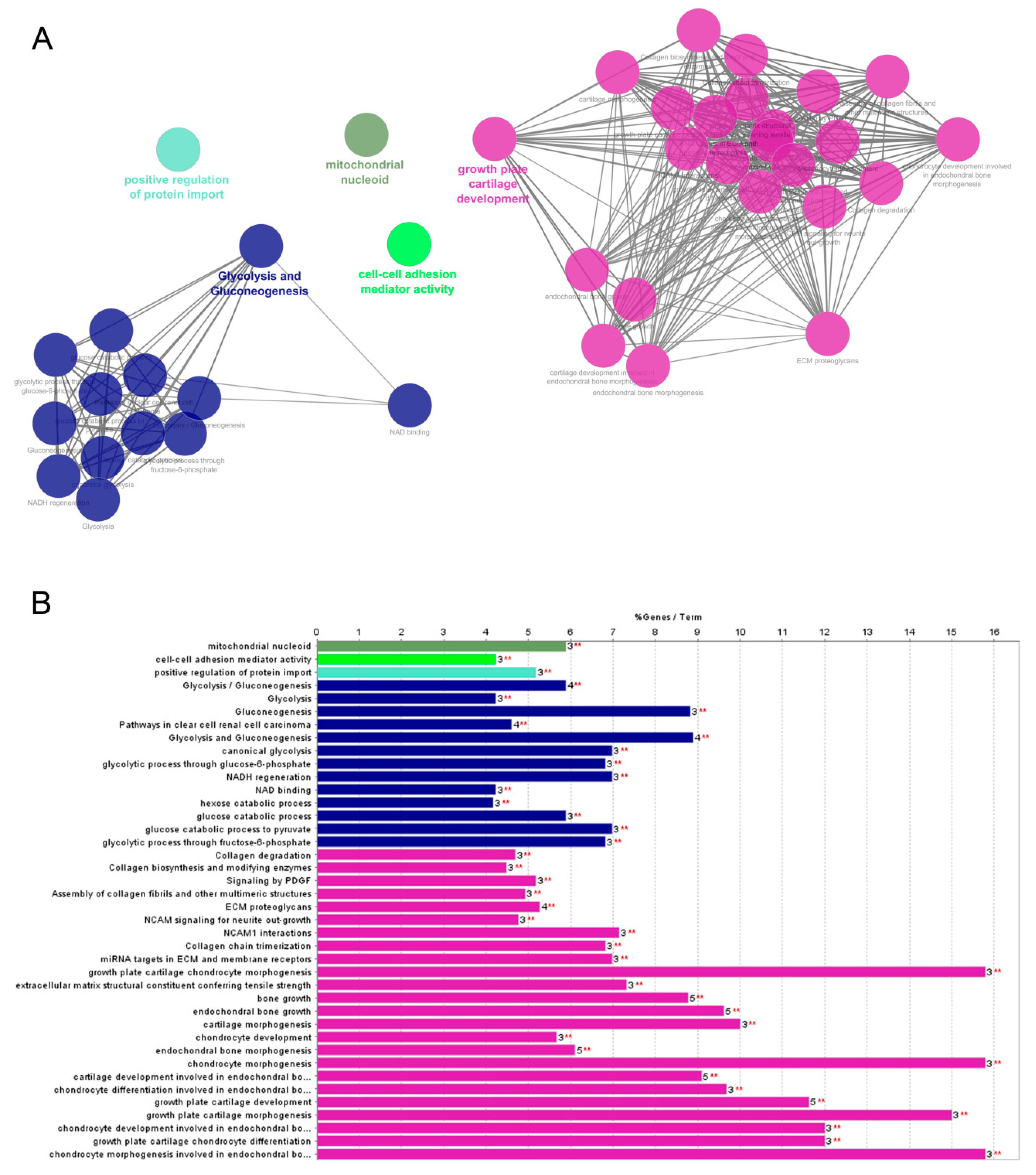Ijms 20 06179 g003 Ijms 20 06179 g003