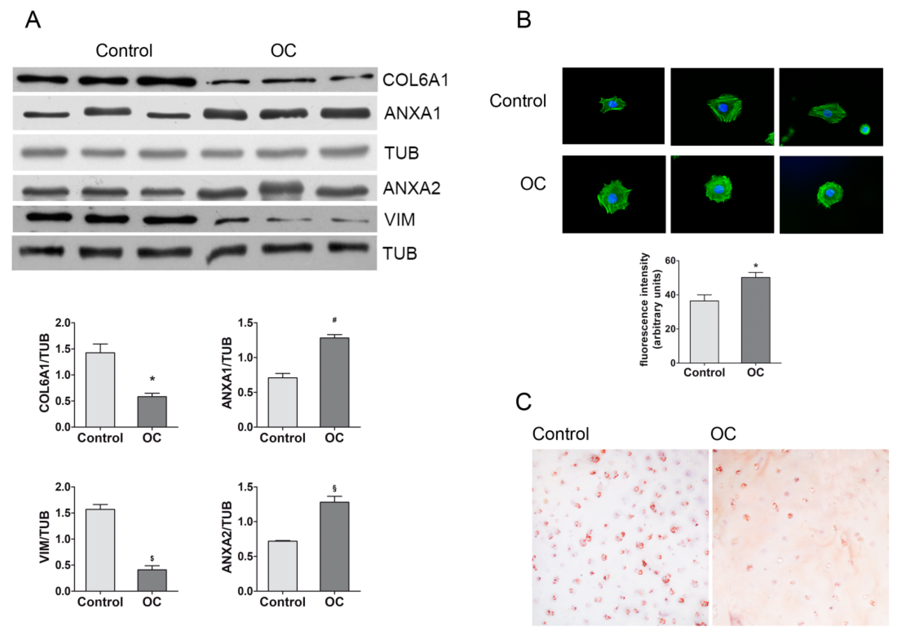 Ijms 20 06179 g004 Ijms 20 06179 g004