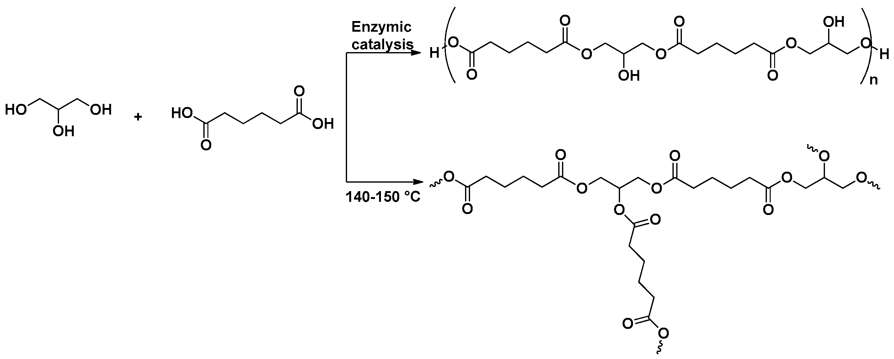Ijms 20 06210 sch004