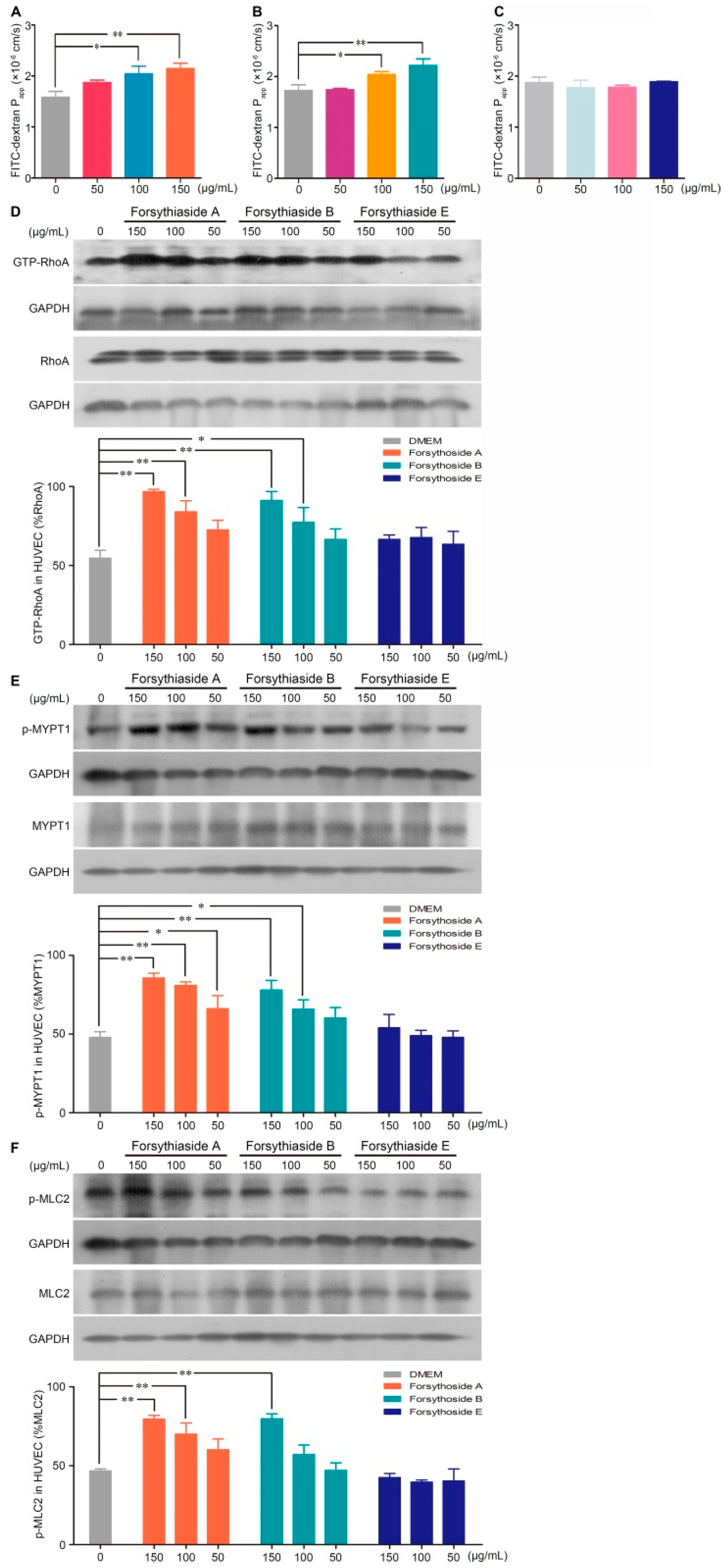 Ijms 20 06266 g004 Ijms 20 06266 g004