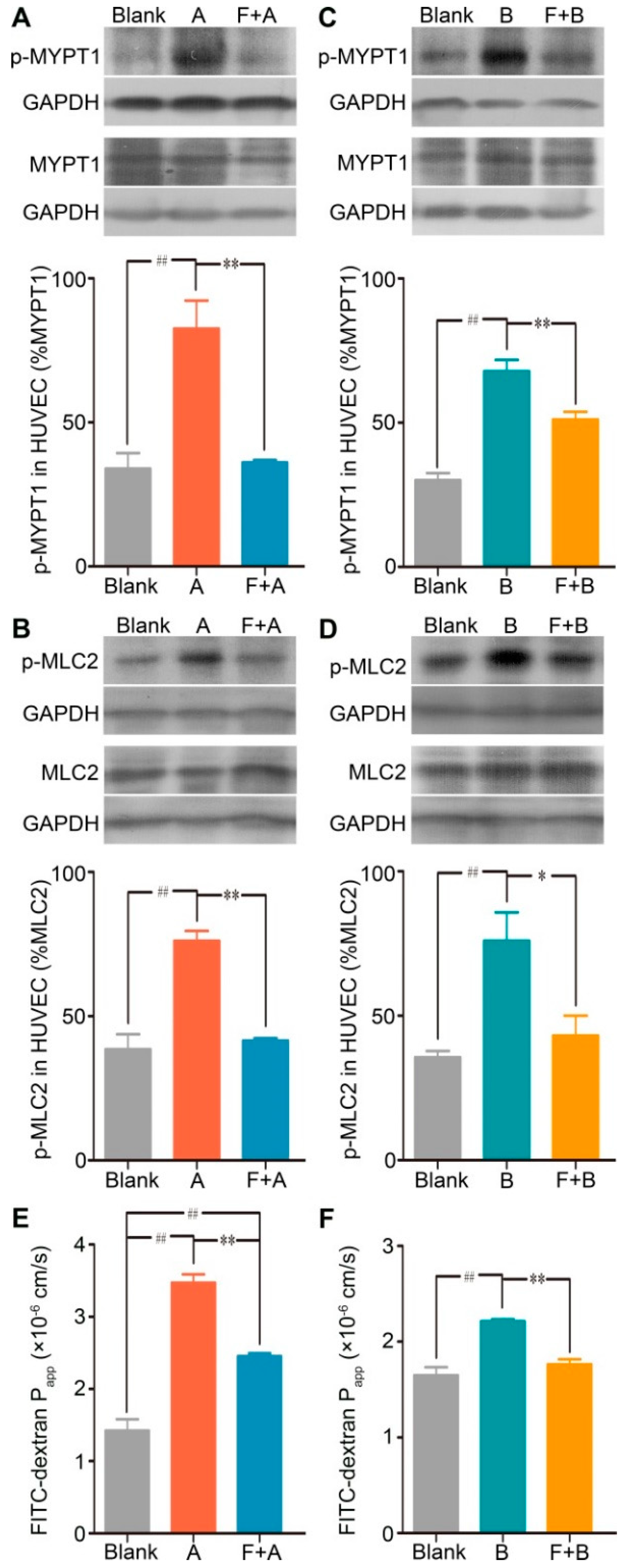 Ijms 20 06266 g005 Ijms 20 06266 g005
