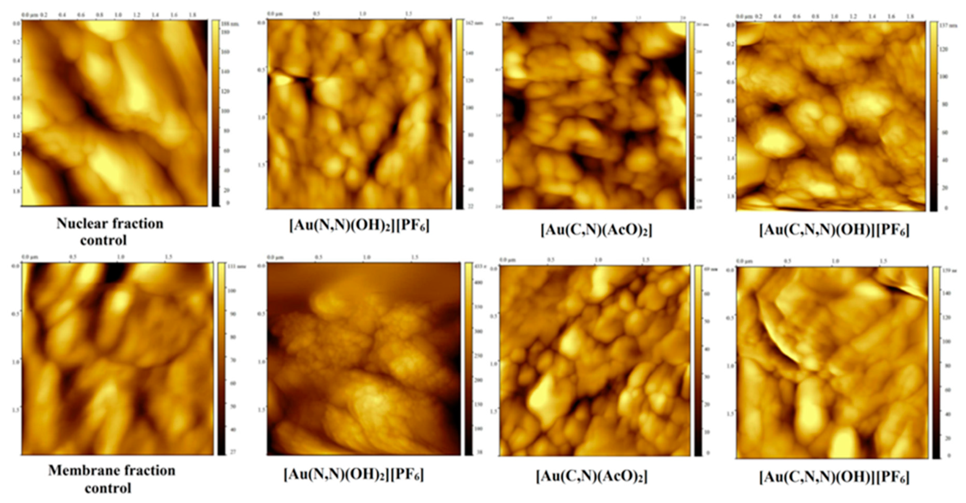 Ijms 20 06306 g006