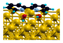 Ijms 20 06306 i001 Ijms 20 06306 i001