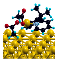 Ijms 20 06306 i004 Ijms 20 06306 i004