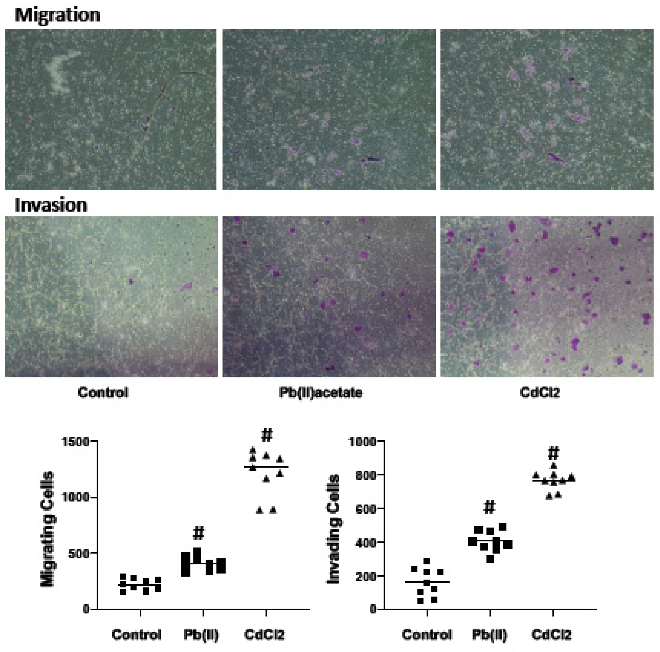 Ijms 20 06315 g005 Ijms 20 06315 g005