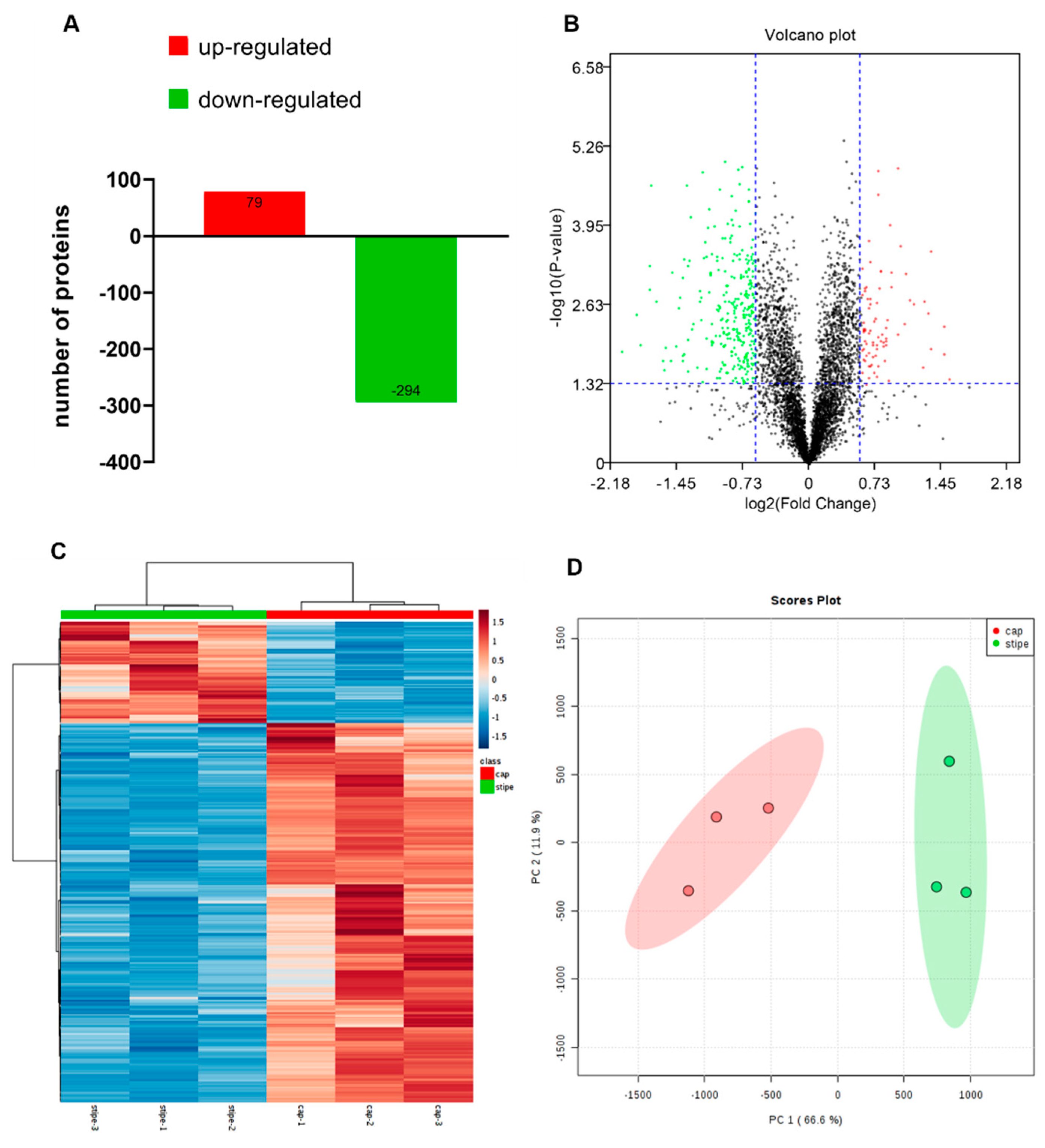 Ijms 20 06317 g002 Ijms 20 06317 g002