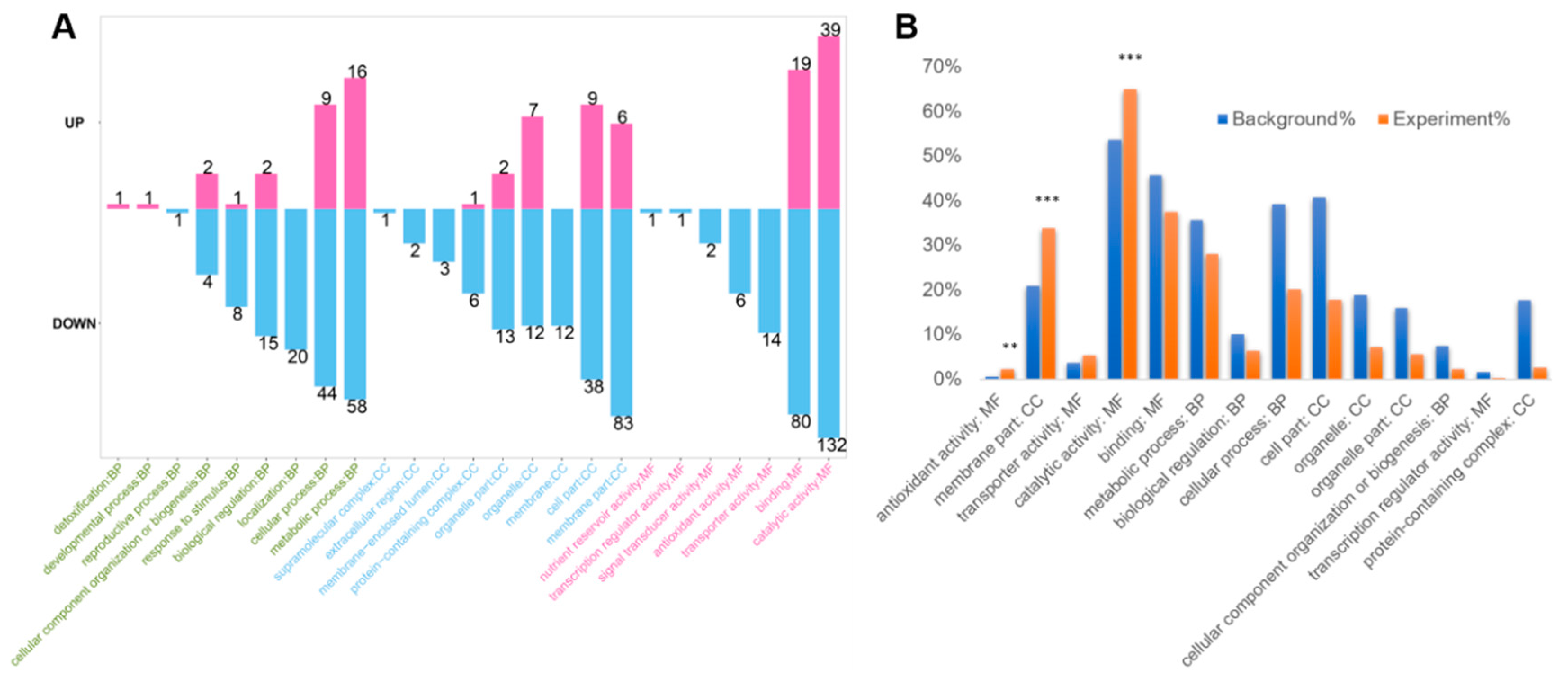 Ijms 20 06317 g003 Ijms 20 06317 g003